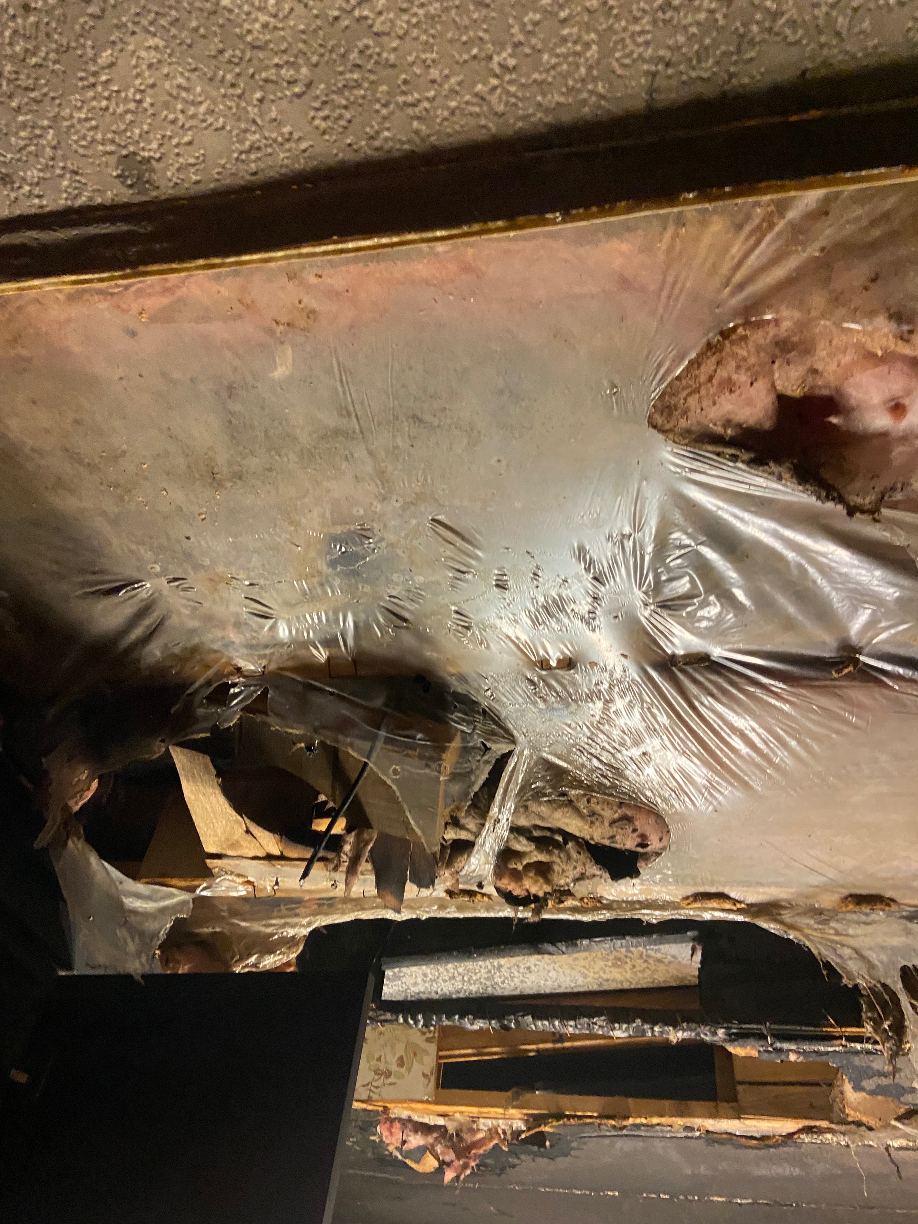 User-uploaded image 2