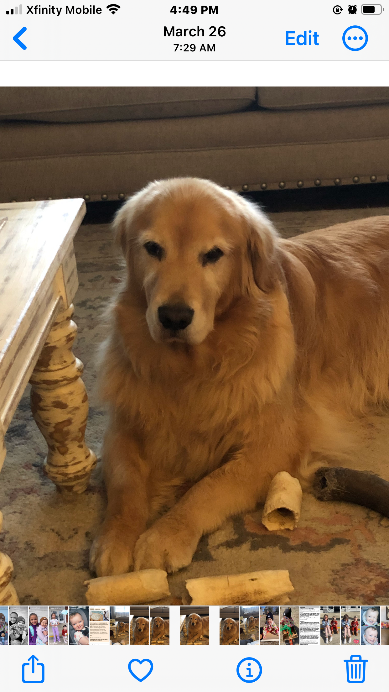 Help Apollo Get Life-Saving Surgery campaign photo, 2 of 4