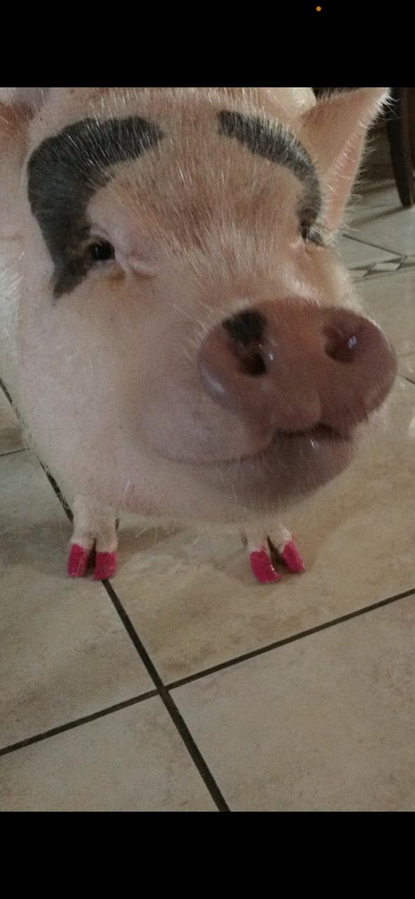 User-uploaded image 1