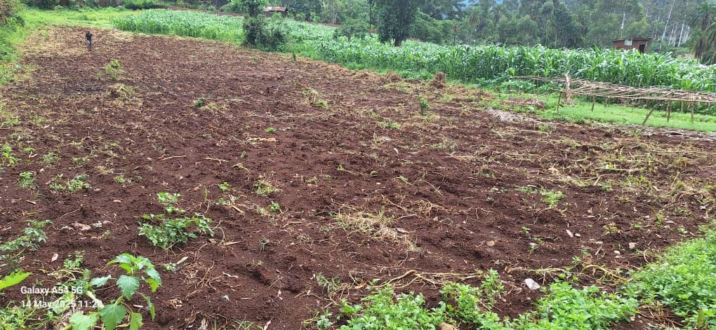 Progetto Gli Orti di Kaffa (Etiopia) campaign photo, 5 of 7