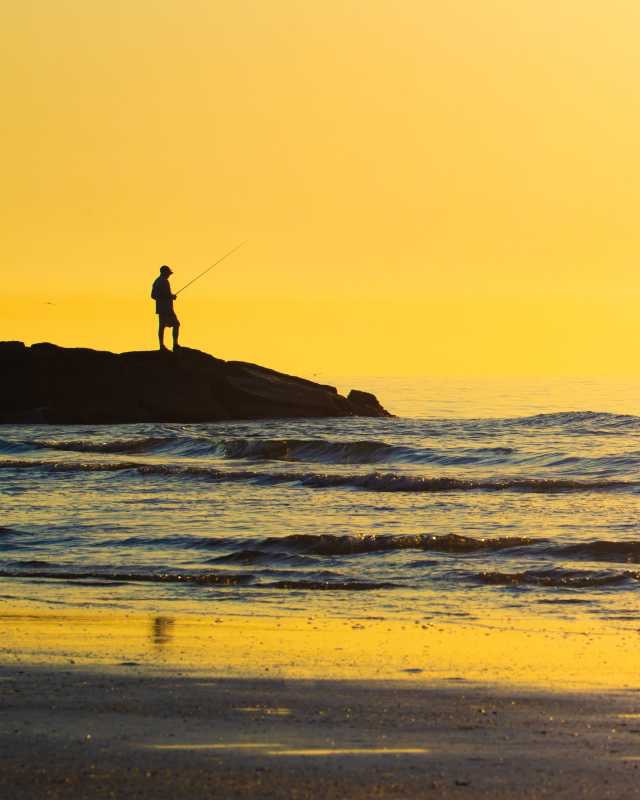 User-uploaded image 1