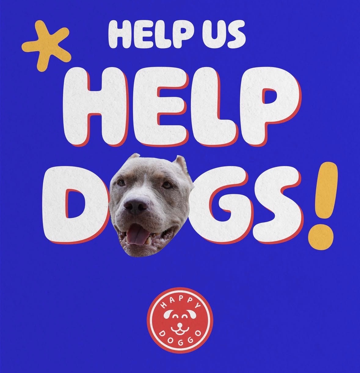 Ironman for Happy Doggo - voor het redden van straathonden campaign photo, 7 of 8