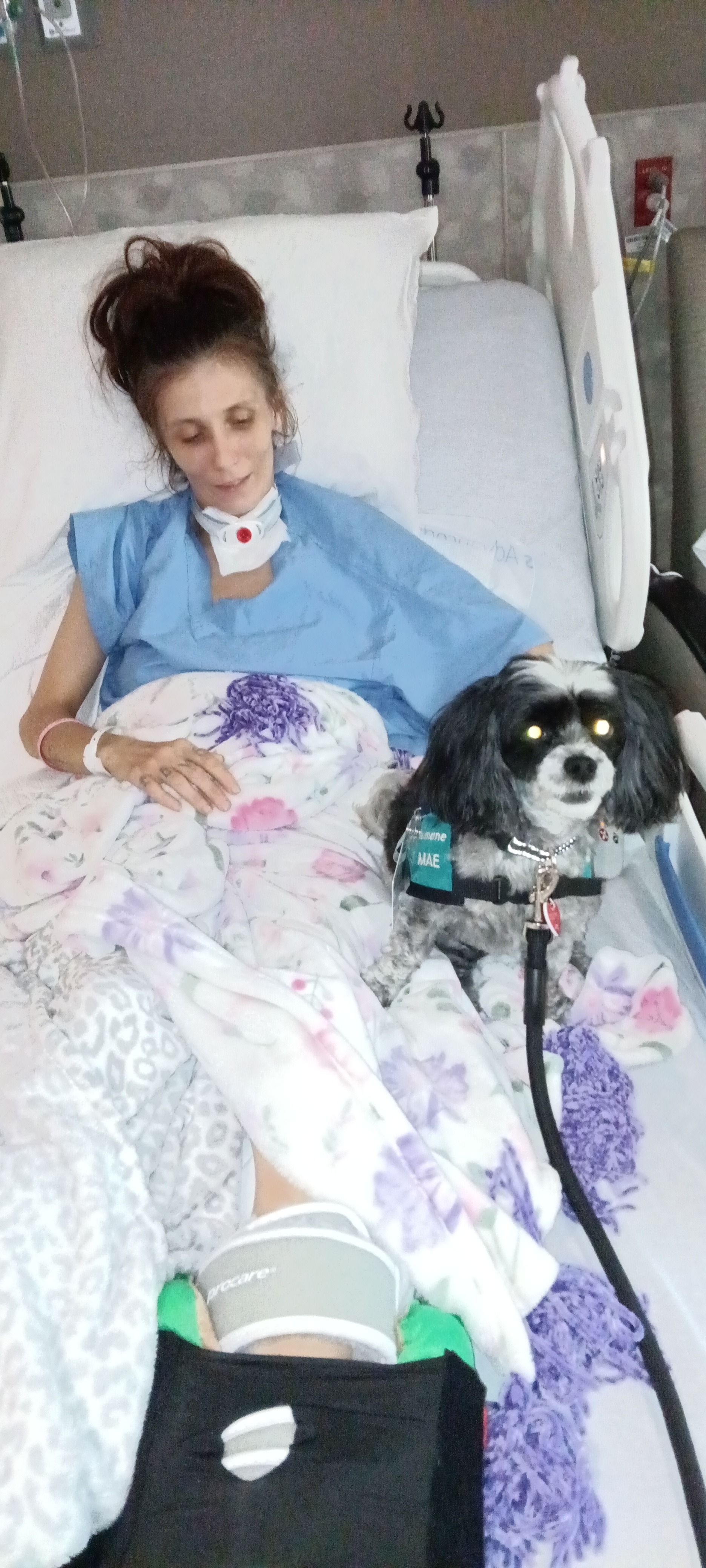 Amanda's healing journey campaign photo, 4 of 8