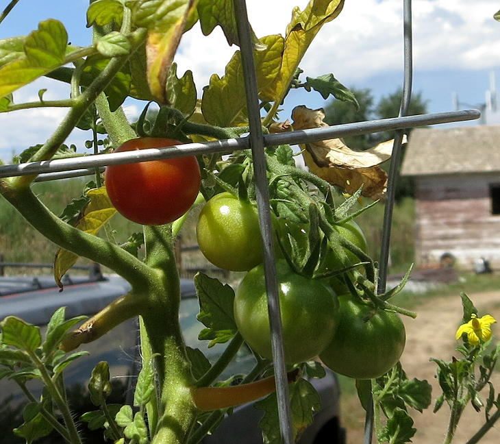 User-uploaded image 1