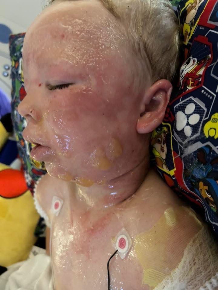 User-uploaded image 1