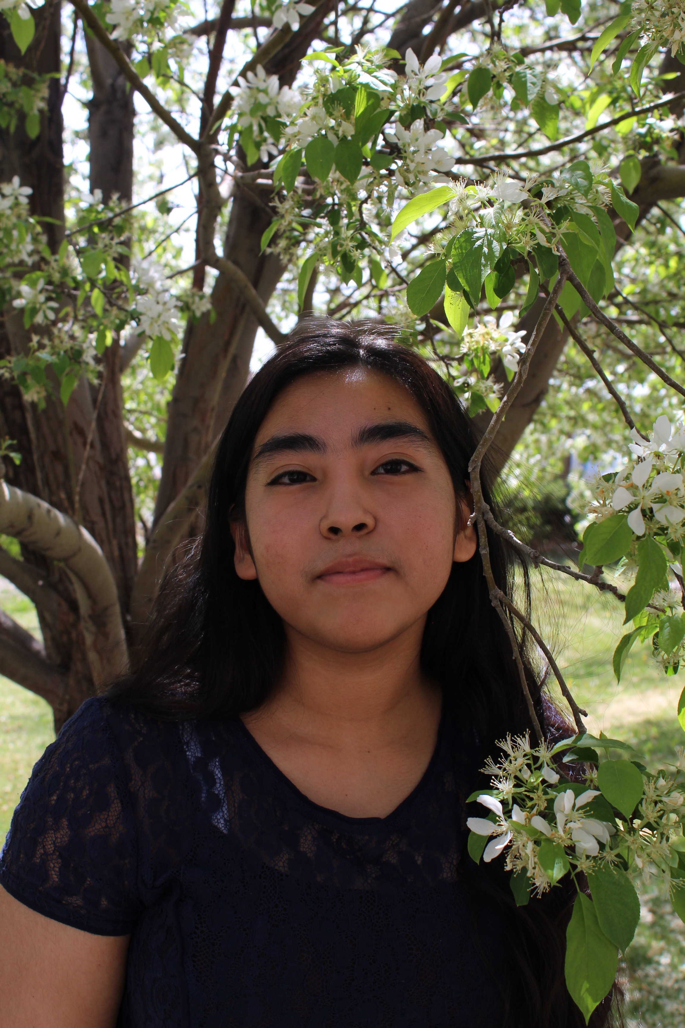 Help Limna fund her future campaign photo, 2 of 4