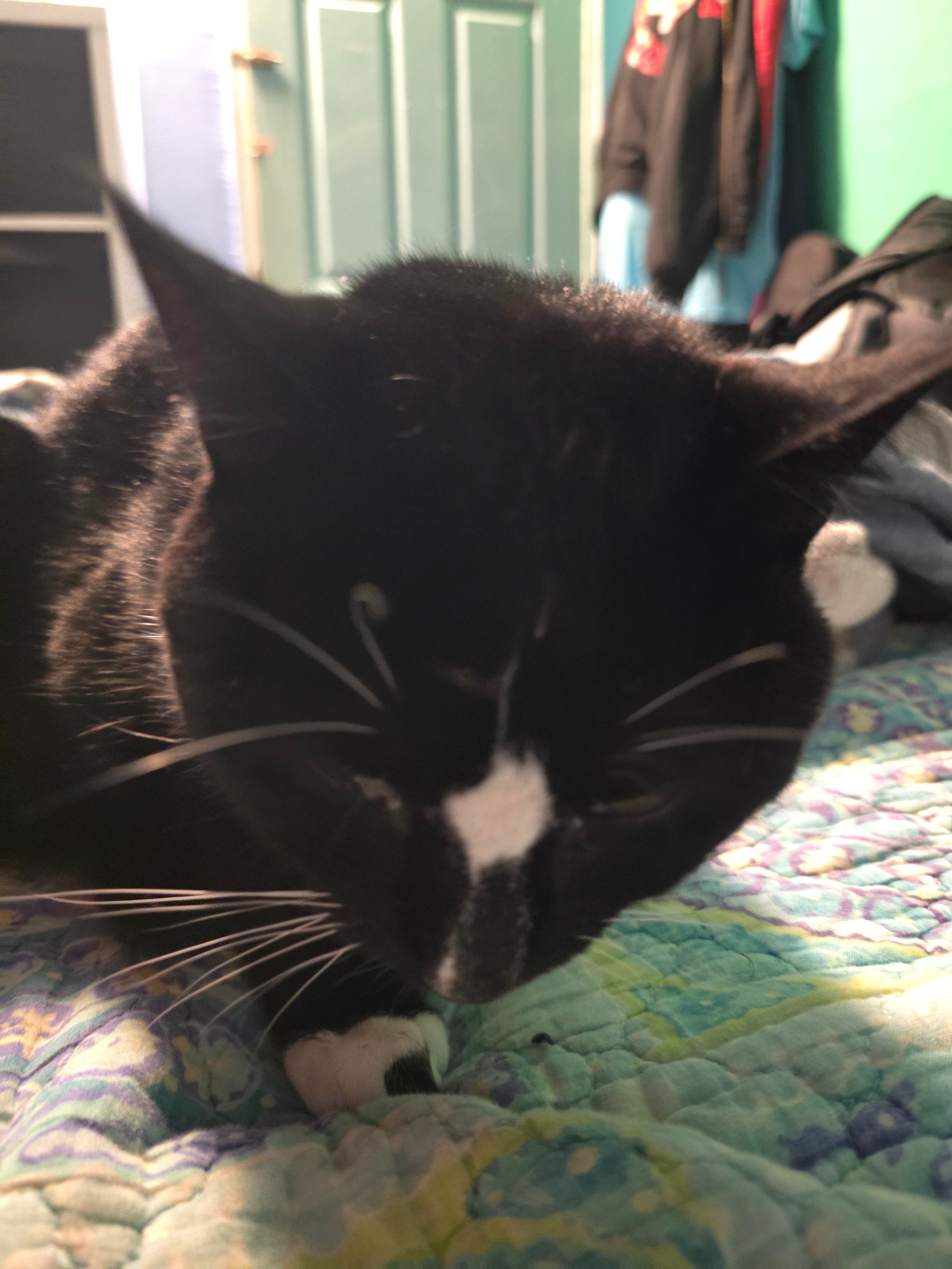 Save Asher: Medical Expenses Rising campaign photo, 7 of 8