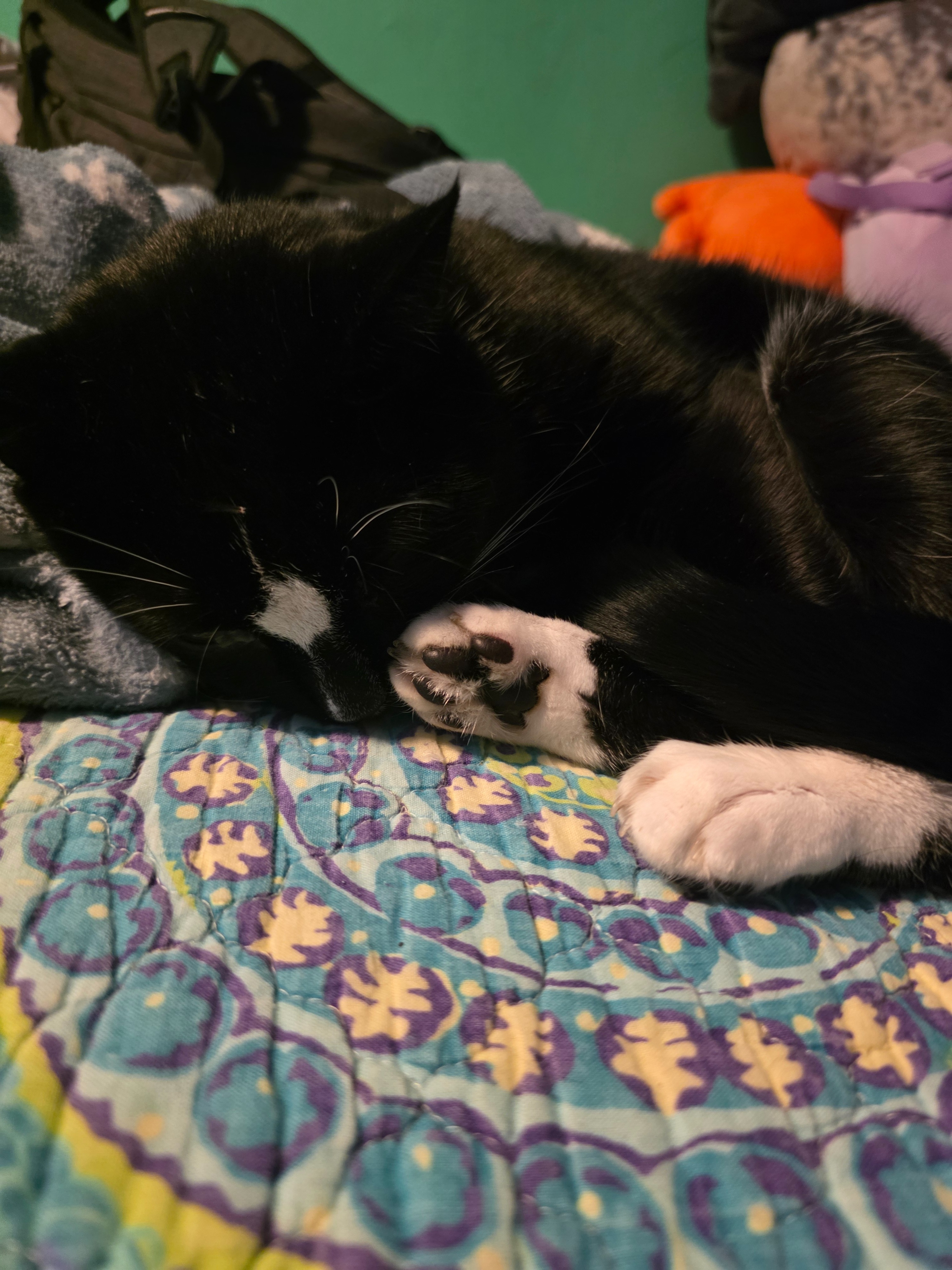 Save Asher: Medical Expenses Rising campaign photo, 2 of 8