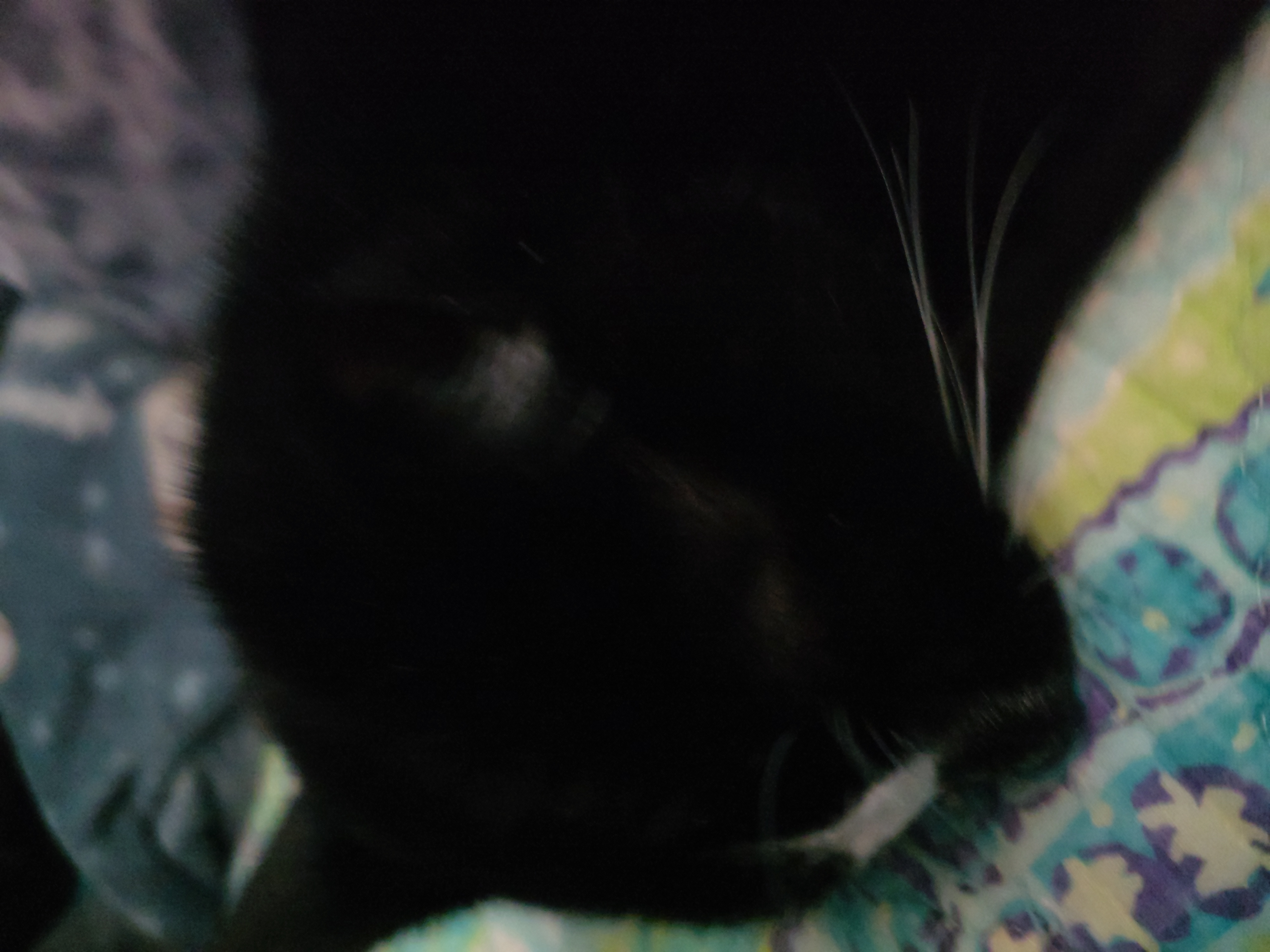 Save Asher: Medical Expenses Rising campaign photo, 4 of 8