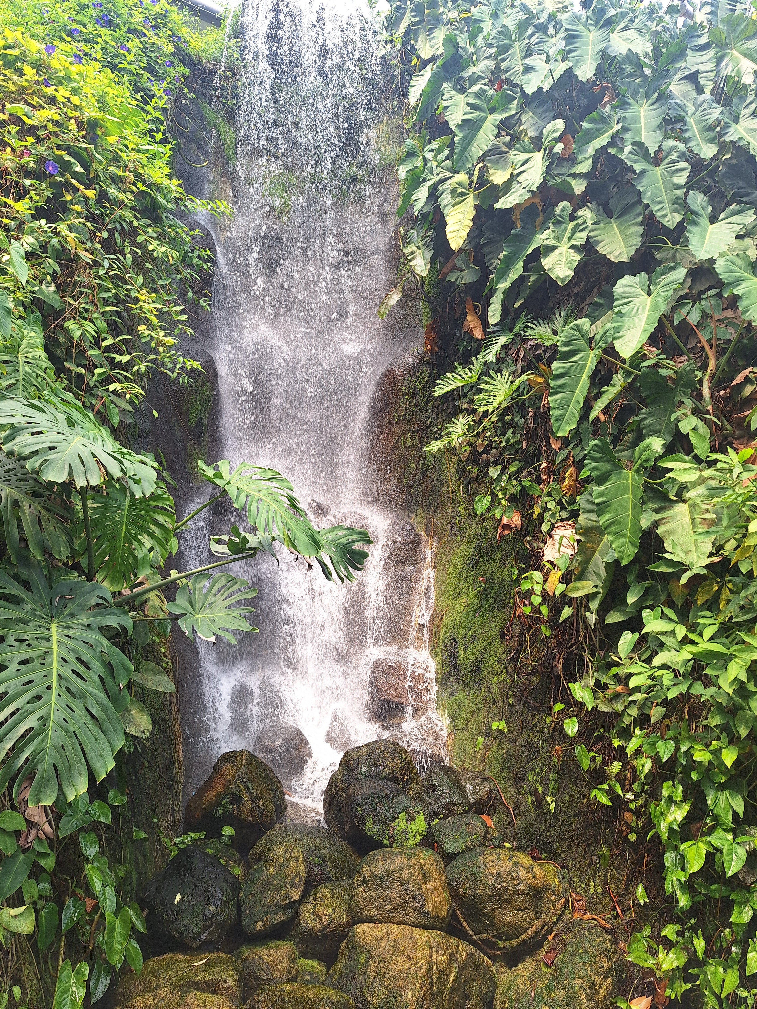 SZYMON COSTA RICA EXPEDITION campaign photo, 2 of 8