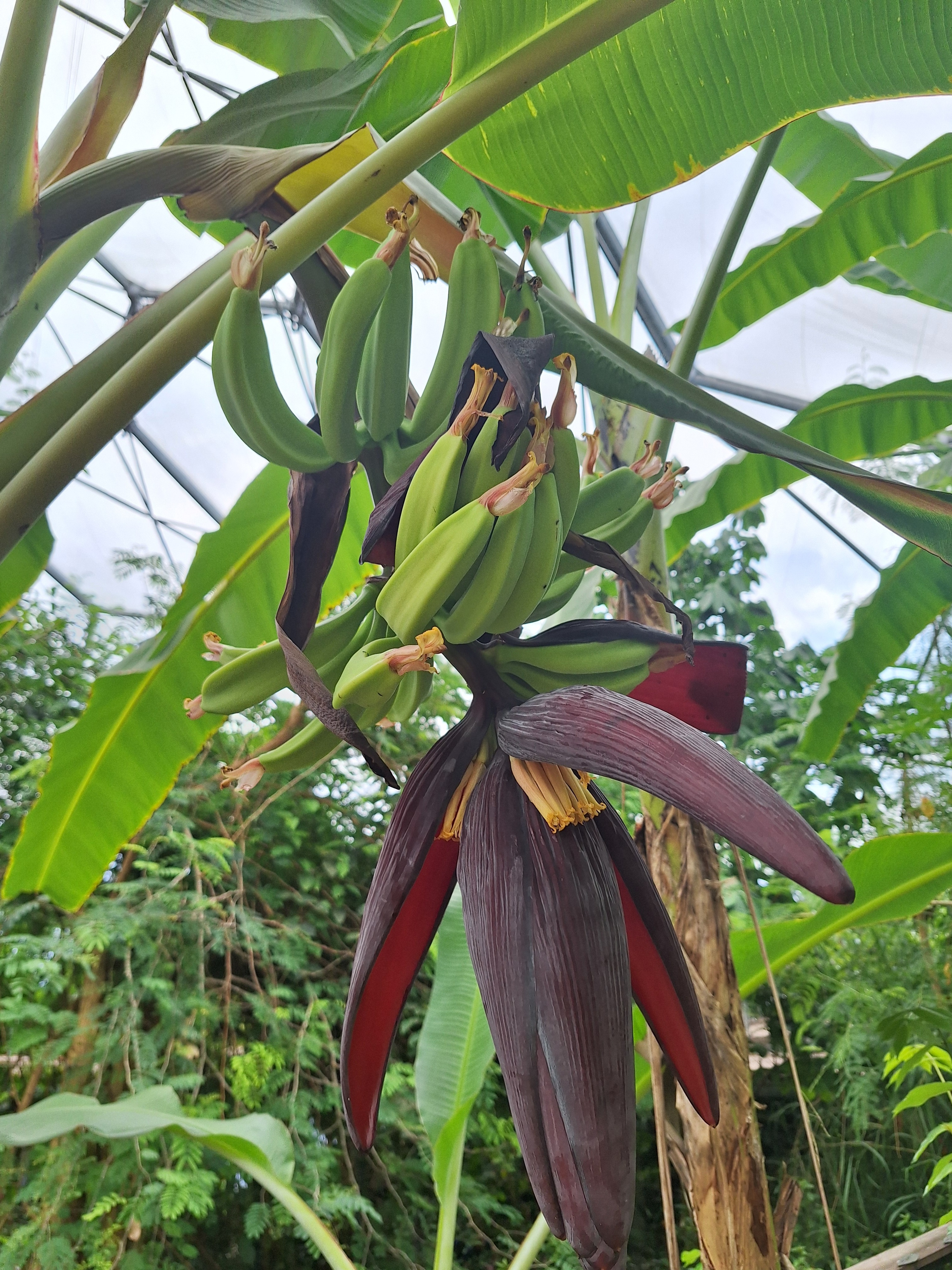 SZYMON COSTA RICA EXPEDITION campaign photo, 4 of 8