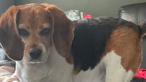 Help Save NEO Urgent Medical Care Needed photo