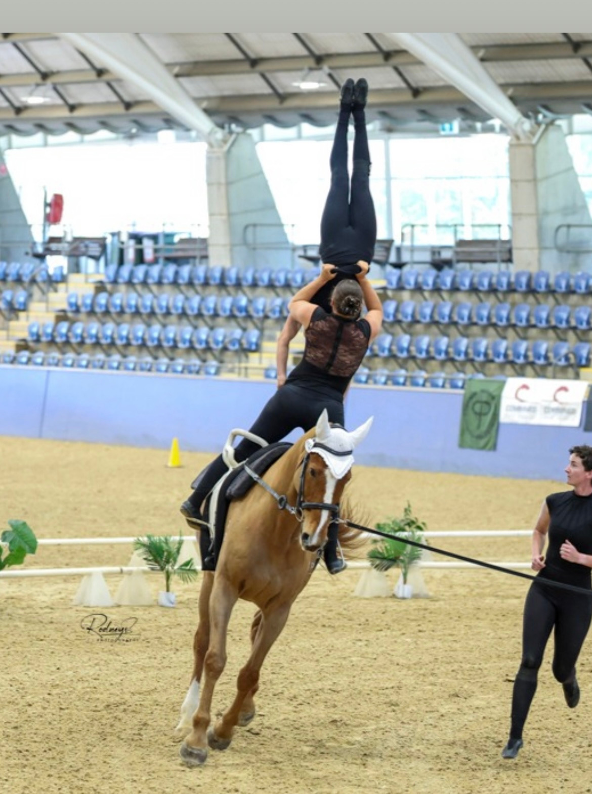Help Nexus Vaulters Reach the World Stage campaign photo, 5 of 7