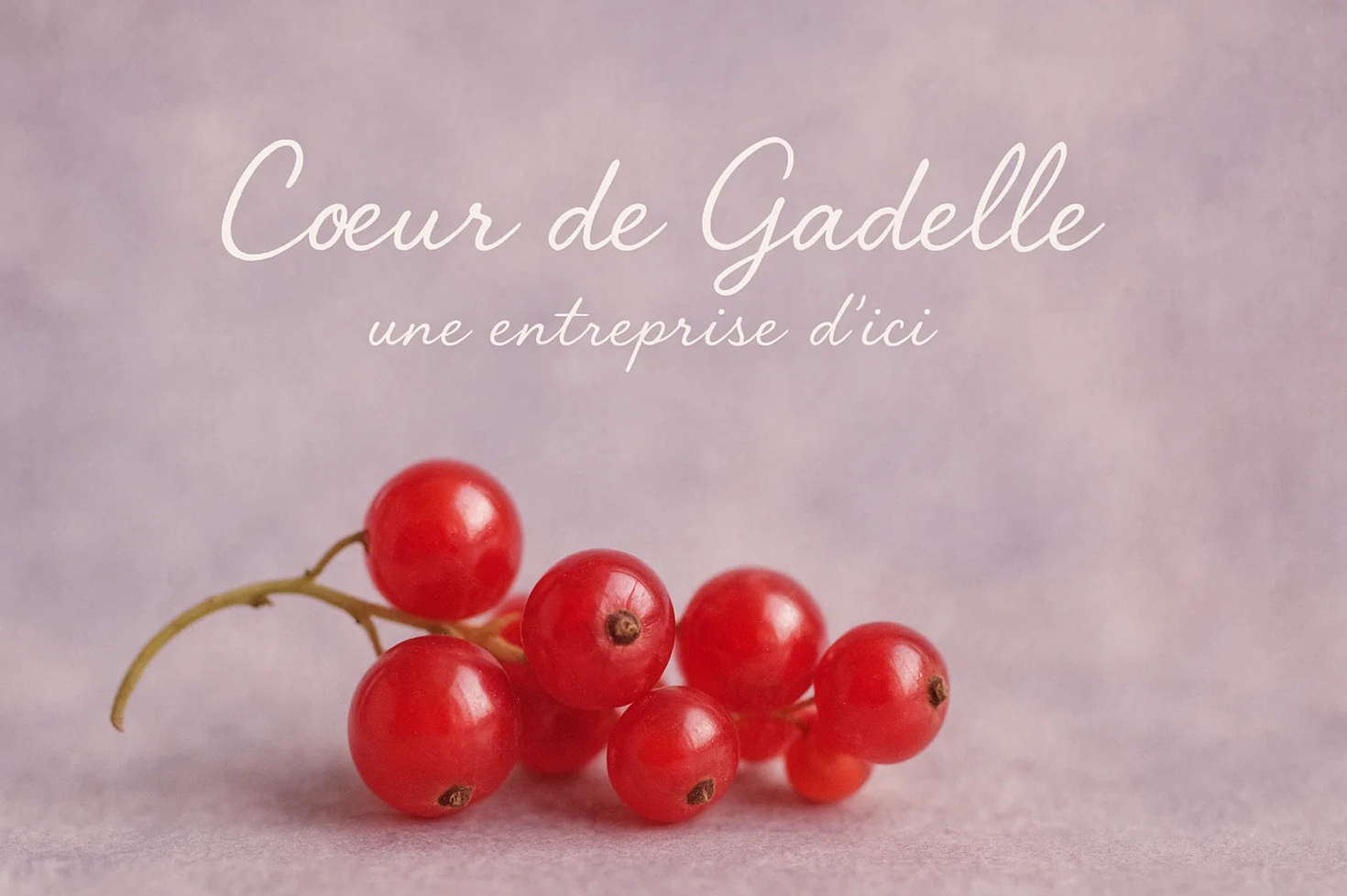 Lance-moi dans les gadelles ! Démarrage d'entreprise campaign photo, 2 of 4