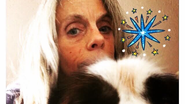 Carletta Cox Smith - Saint Bernard male an have him service train