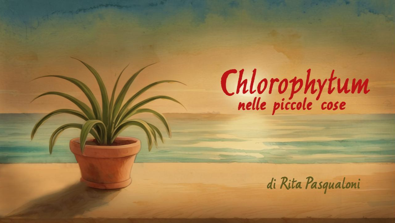 Chlorophytum - Nelle piccole cose photo
