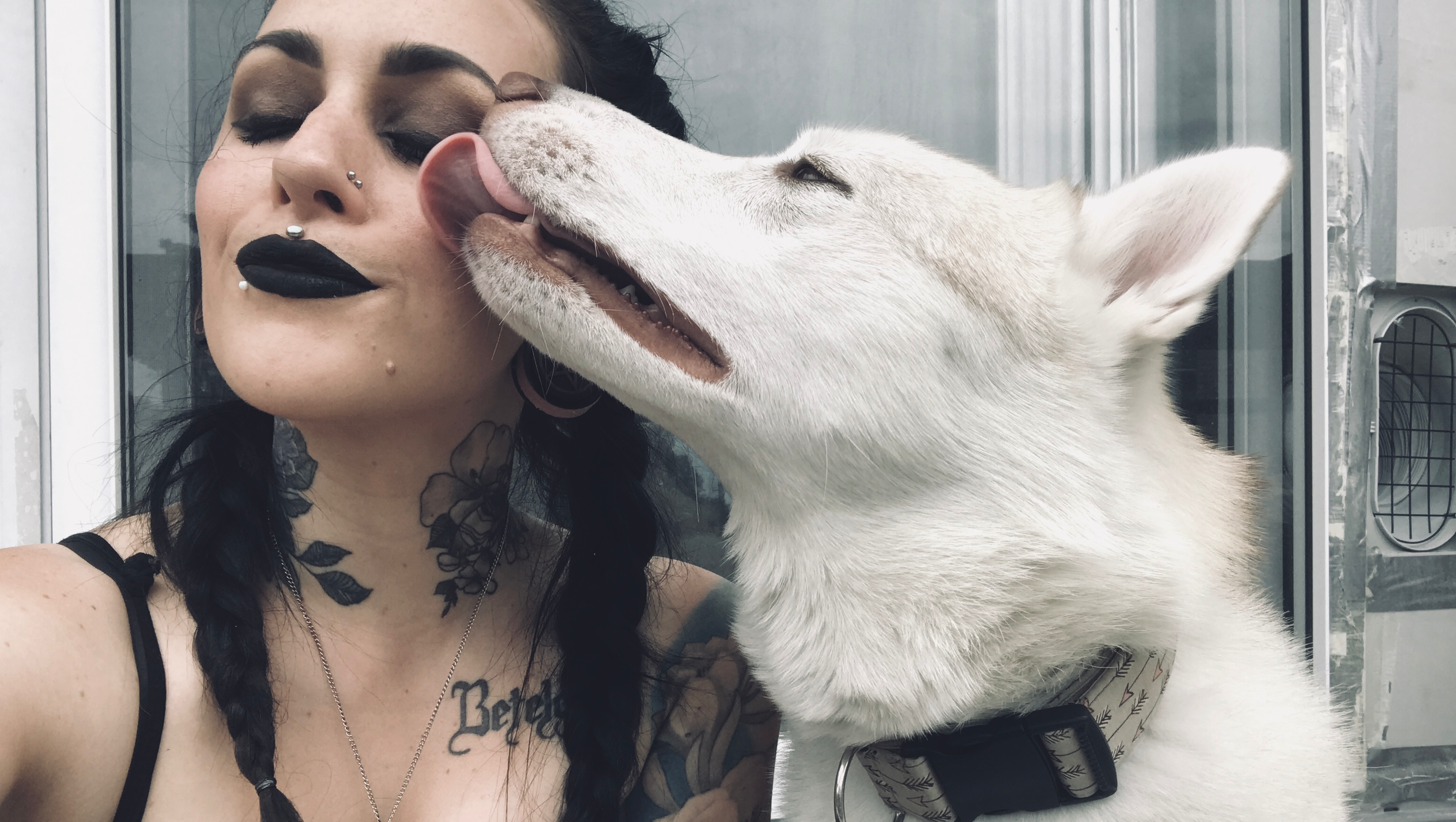 Help us give Koda a second chance photo