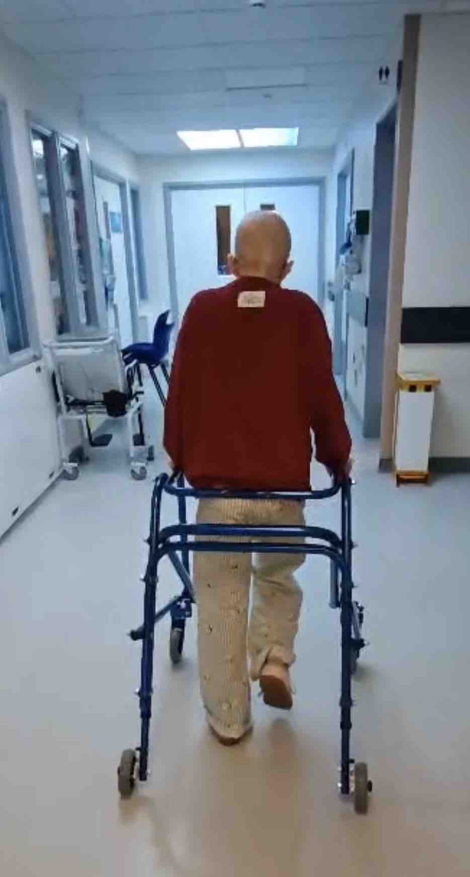 Fundraiser for Martyna Woroch by Cate Sorour : Help Matilda Fight