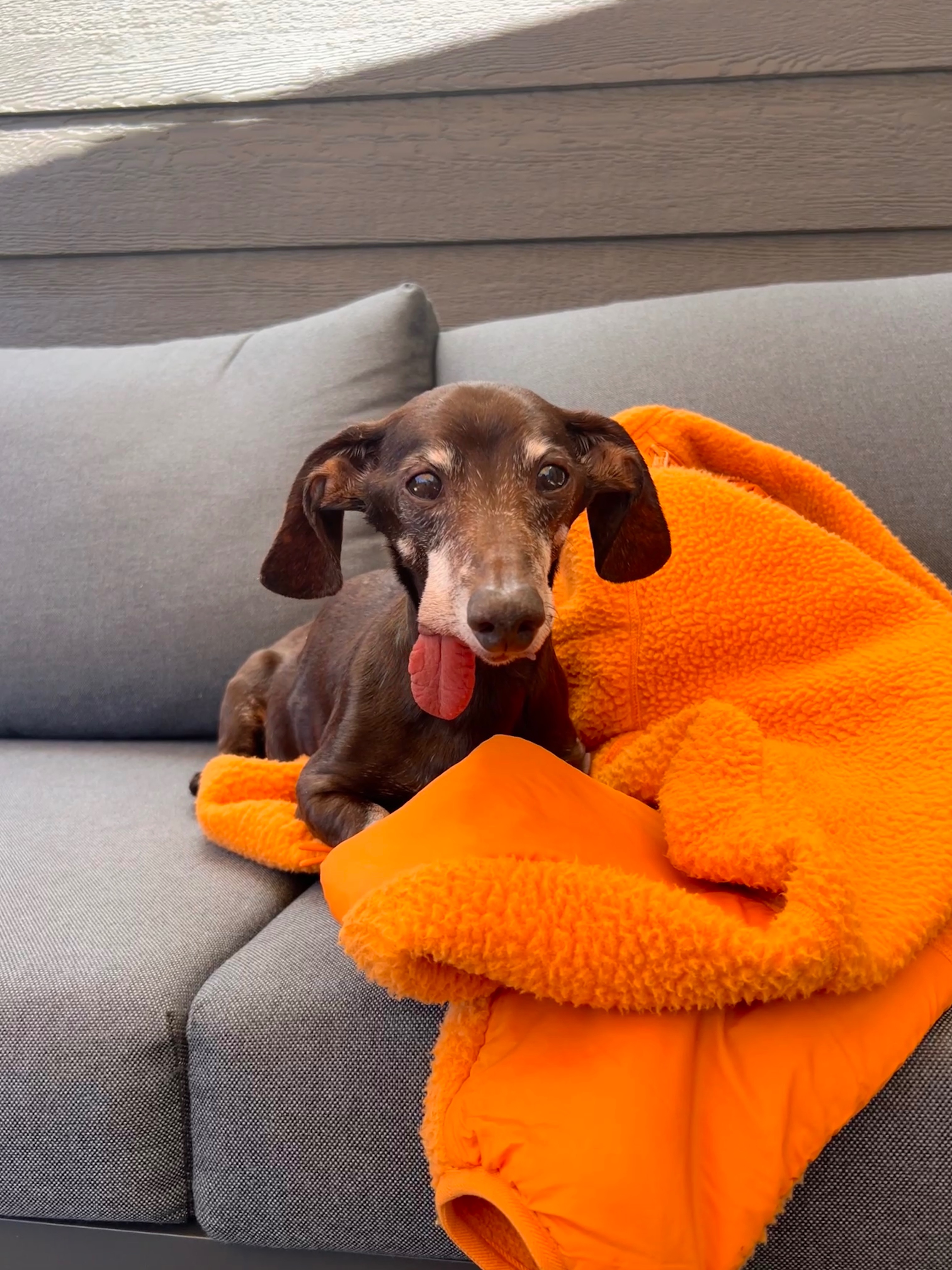 User-uploaded image 1