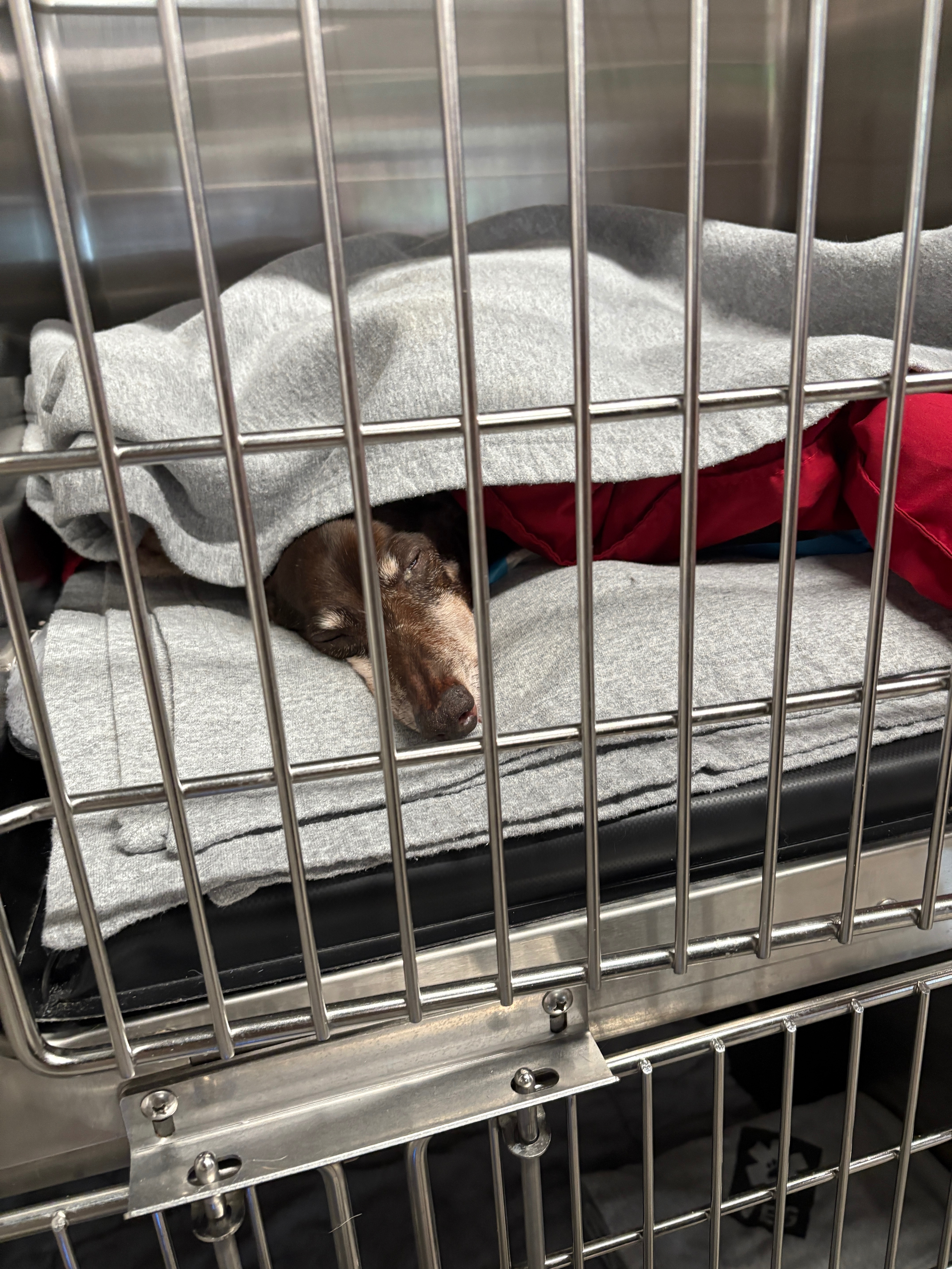 User-uploaded image 2