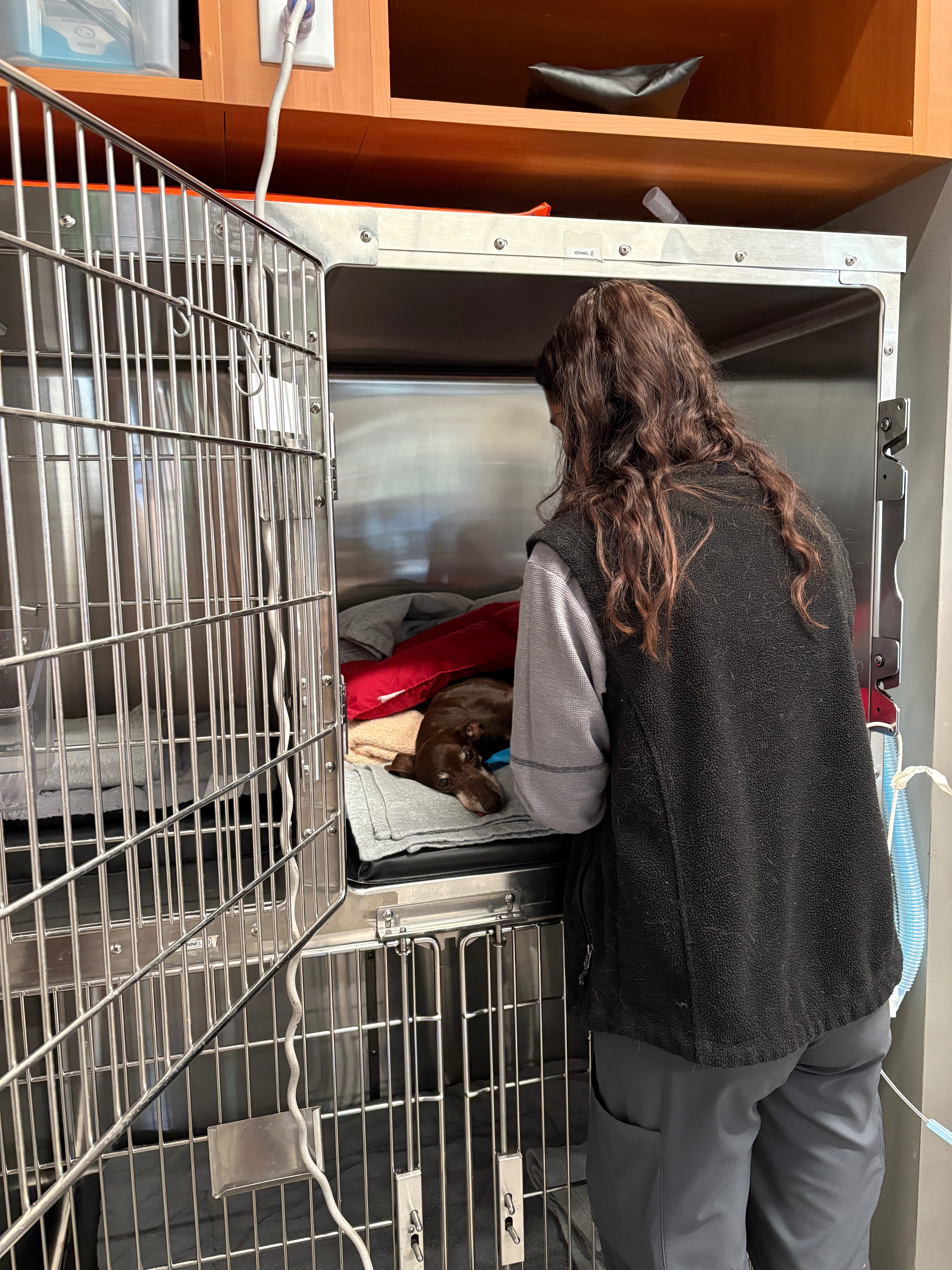 User-uploaded image 4