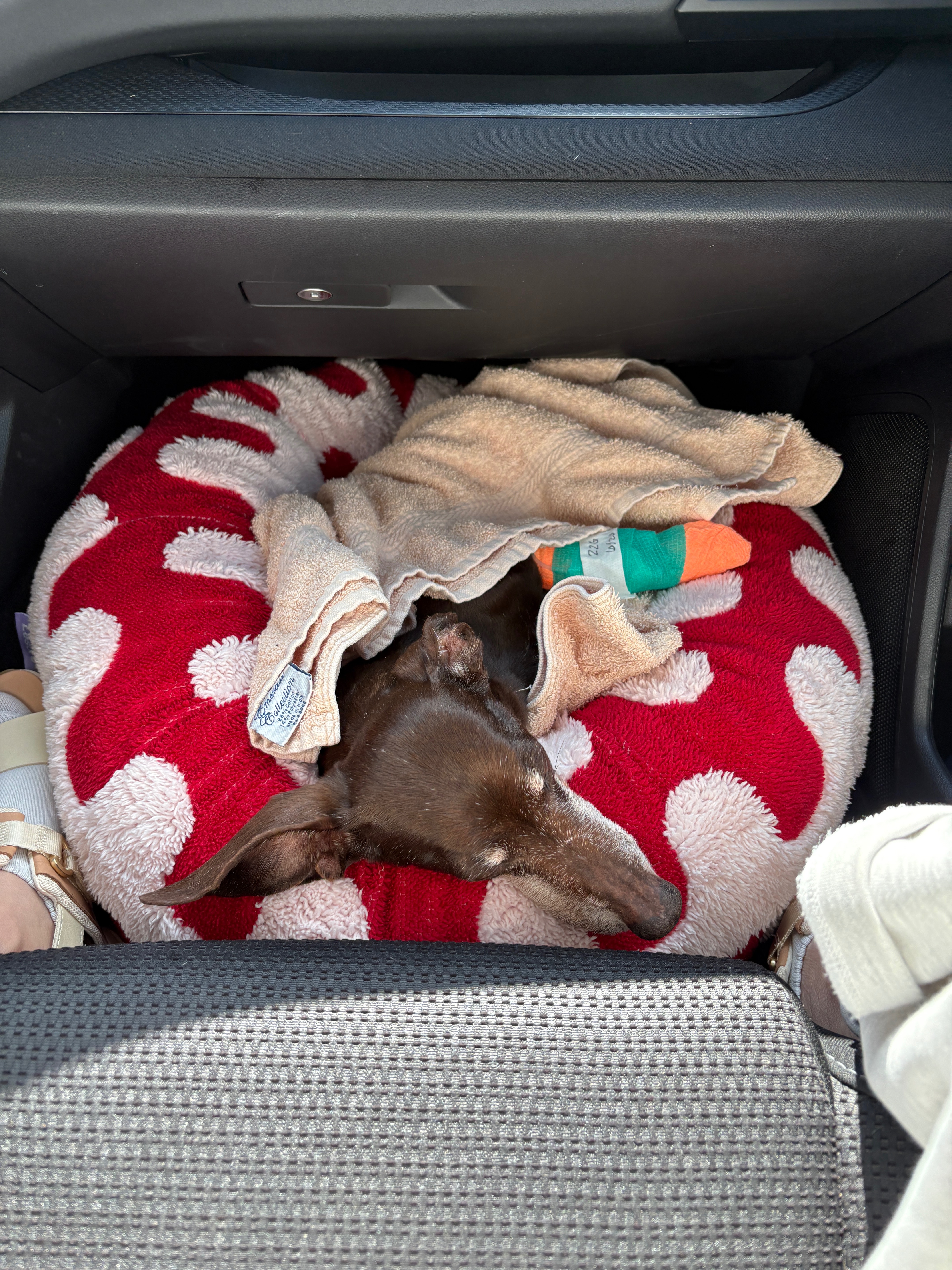 User-uploaded image 3