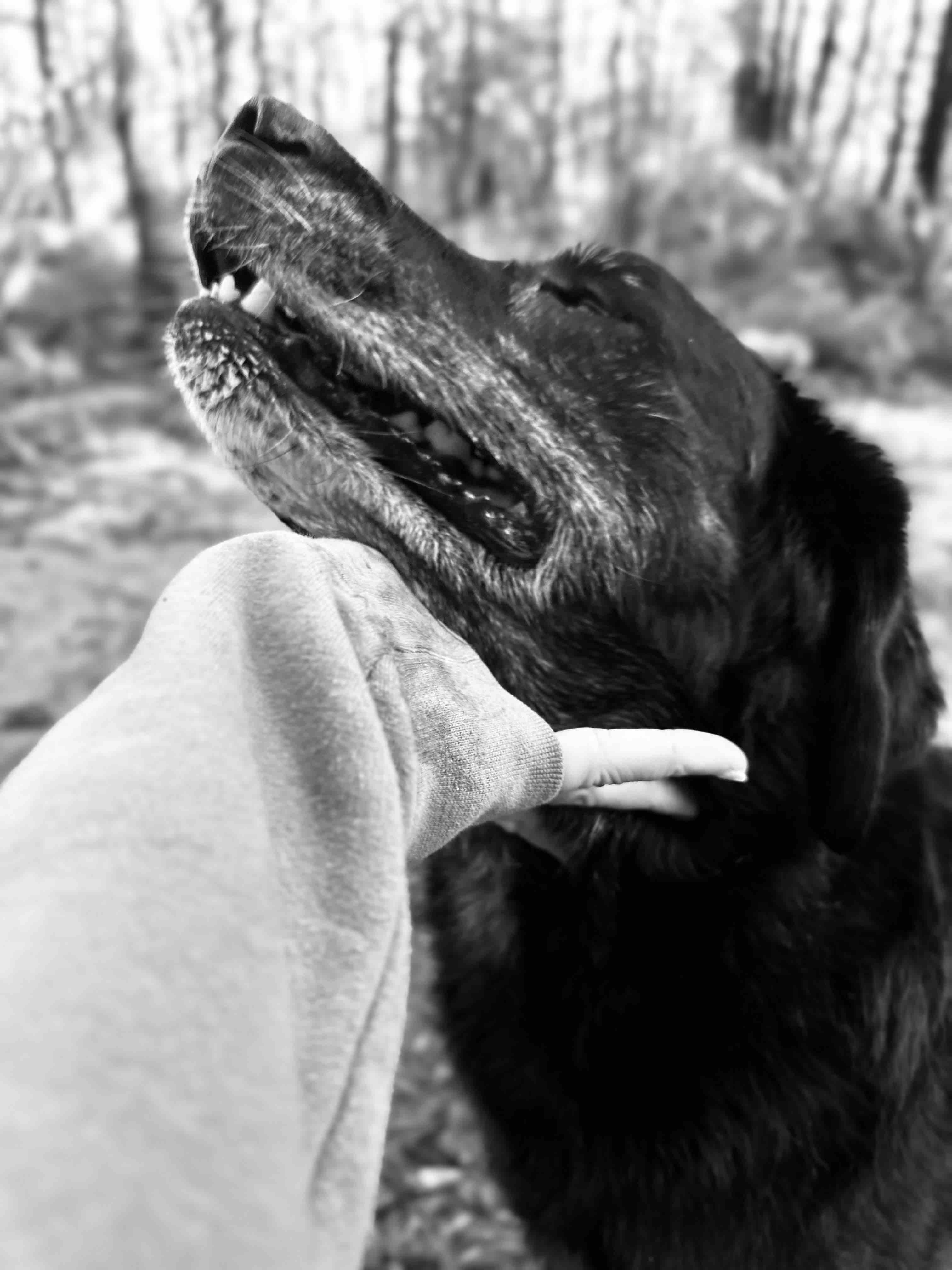ZEUS AFTERCARE-SUPPORT (post op complications) campaign photo, 11 of 13