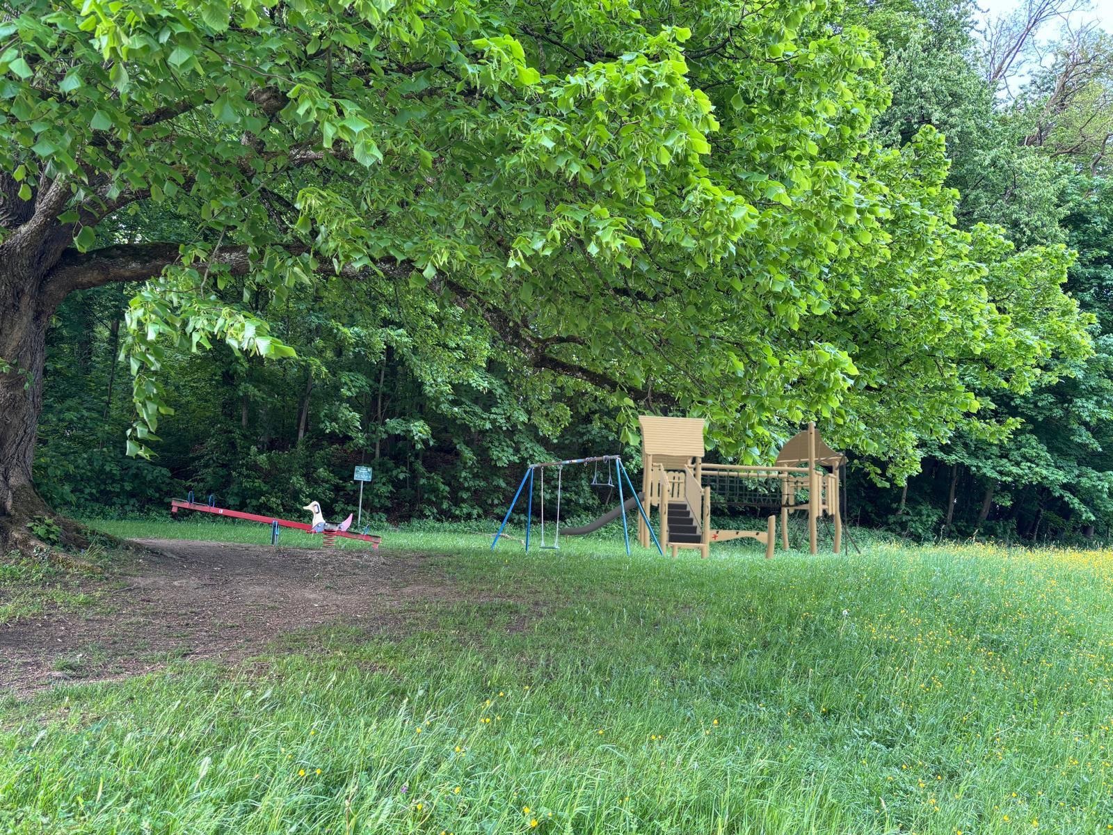 User-uploaded image 1