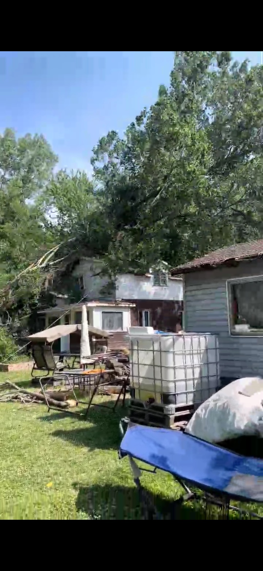 User-uploaded image 3