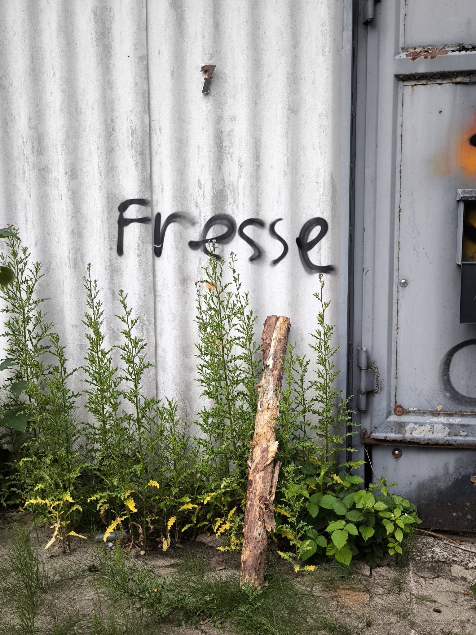 User-uploaded image 3