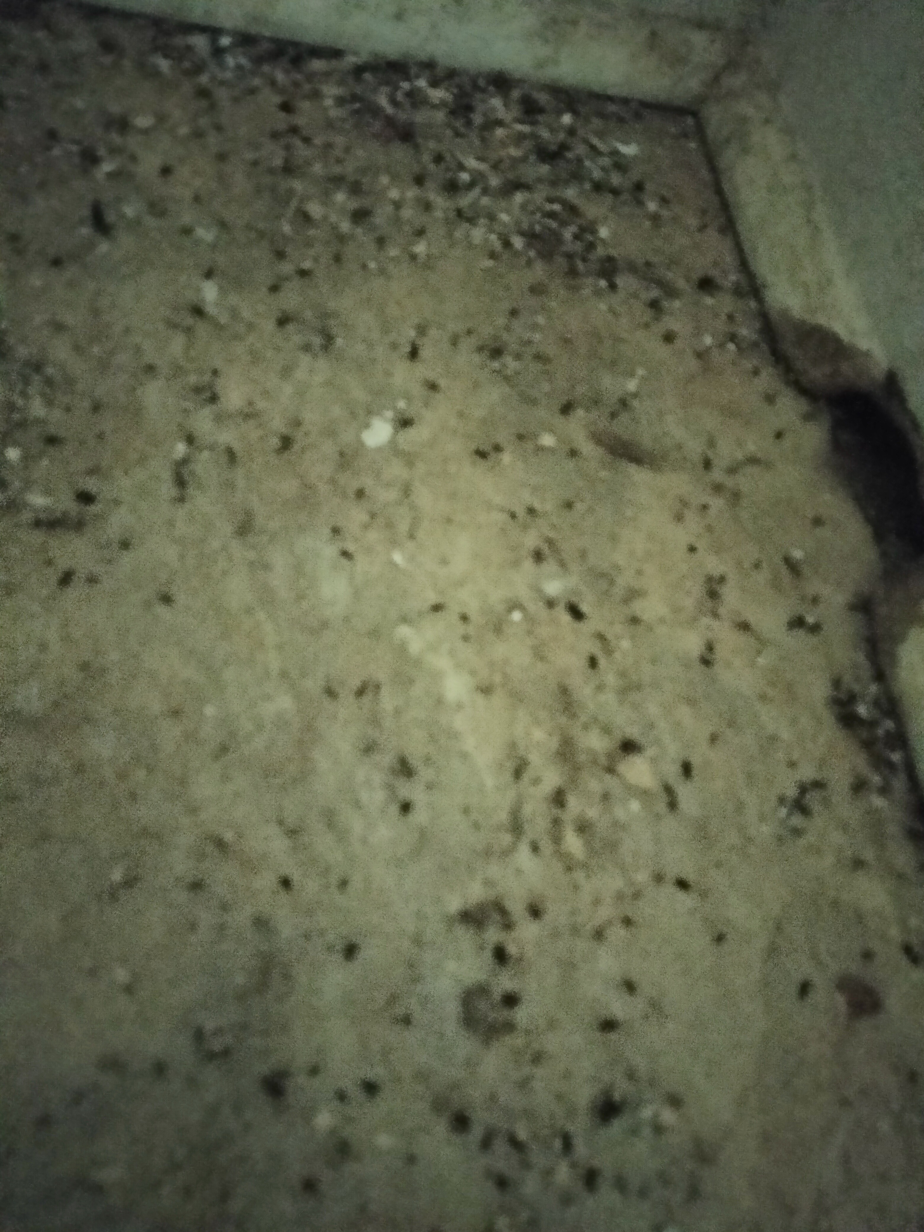 User-uploaded image 2