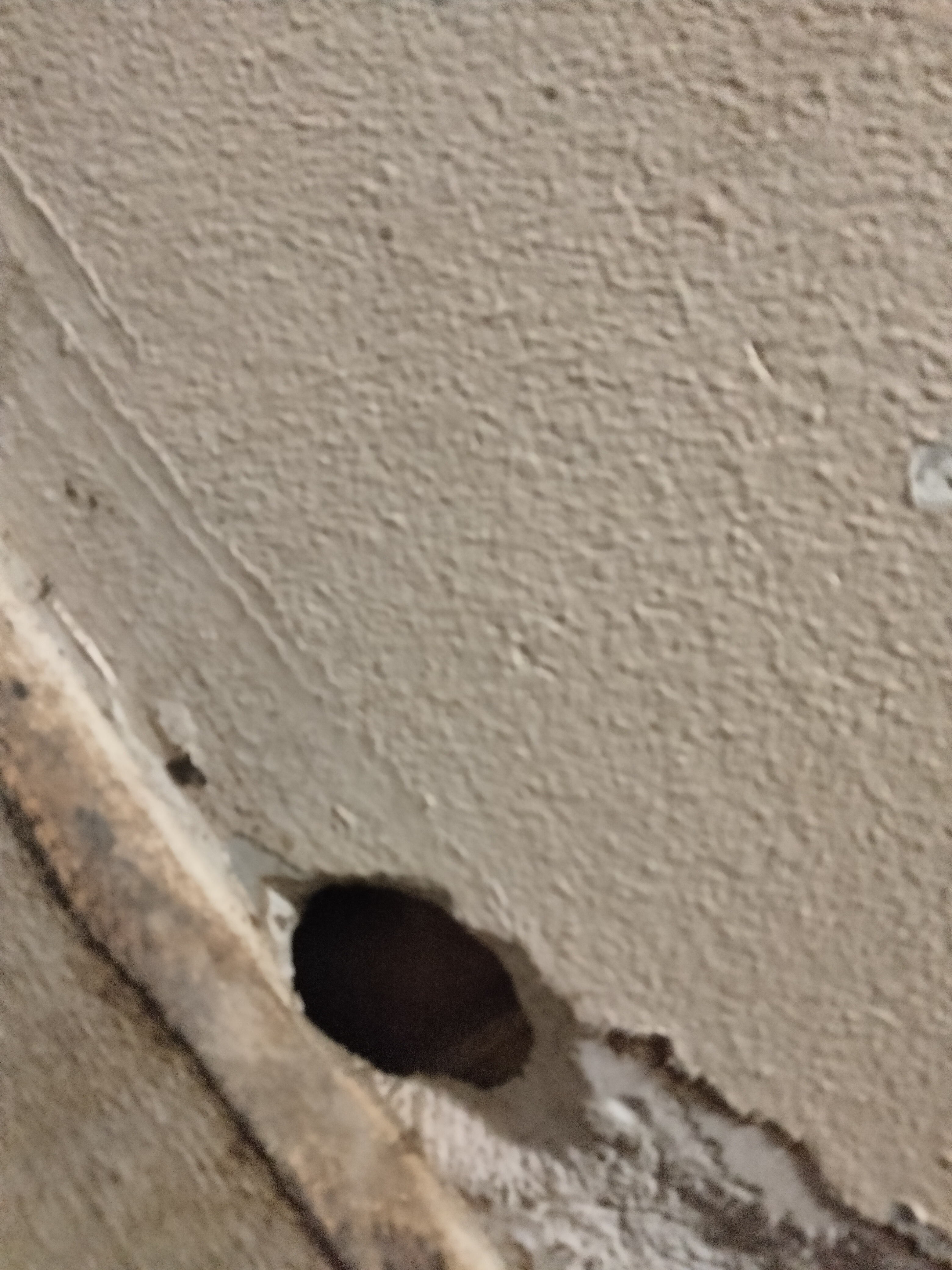 User-uploaded image 3