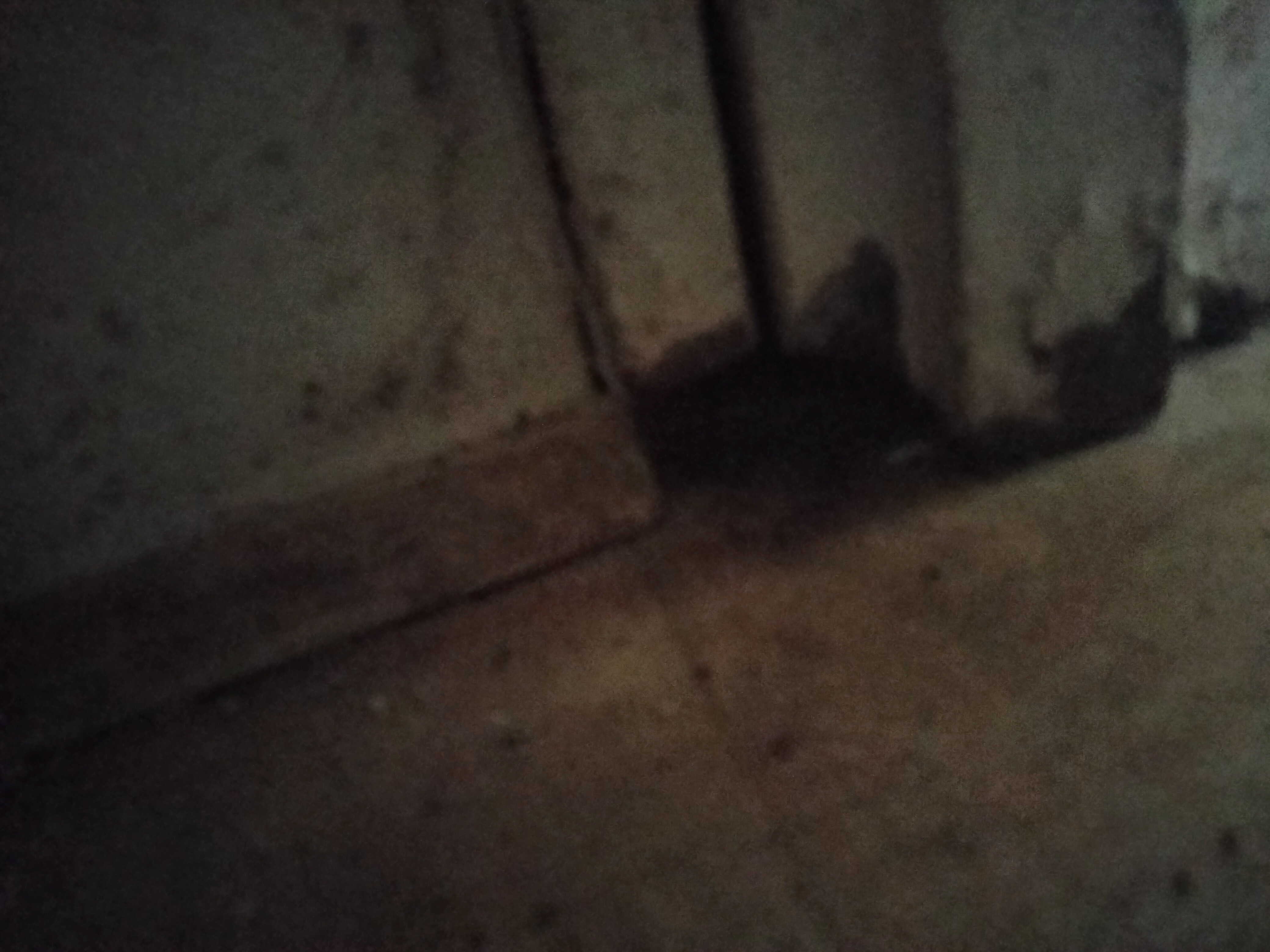 User-uploaded image 4