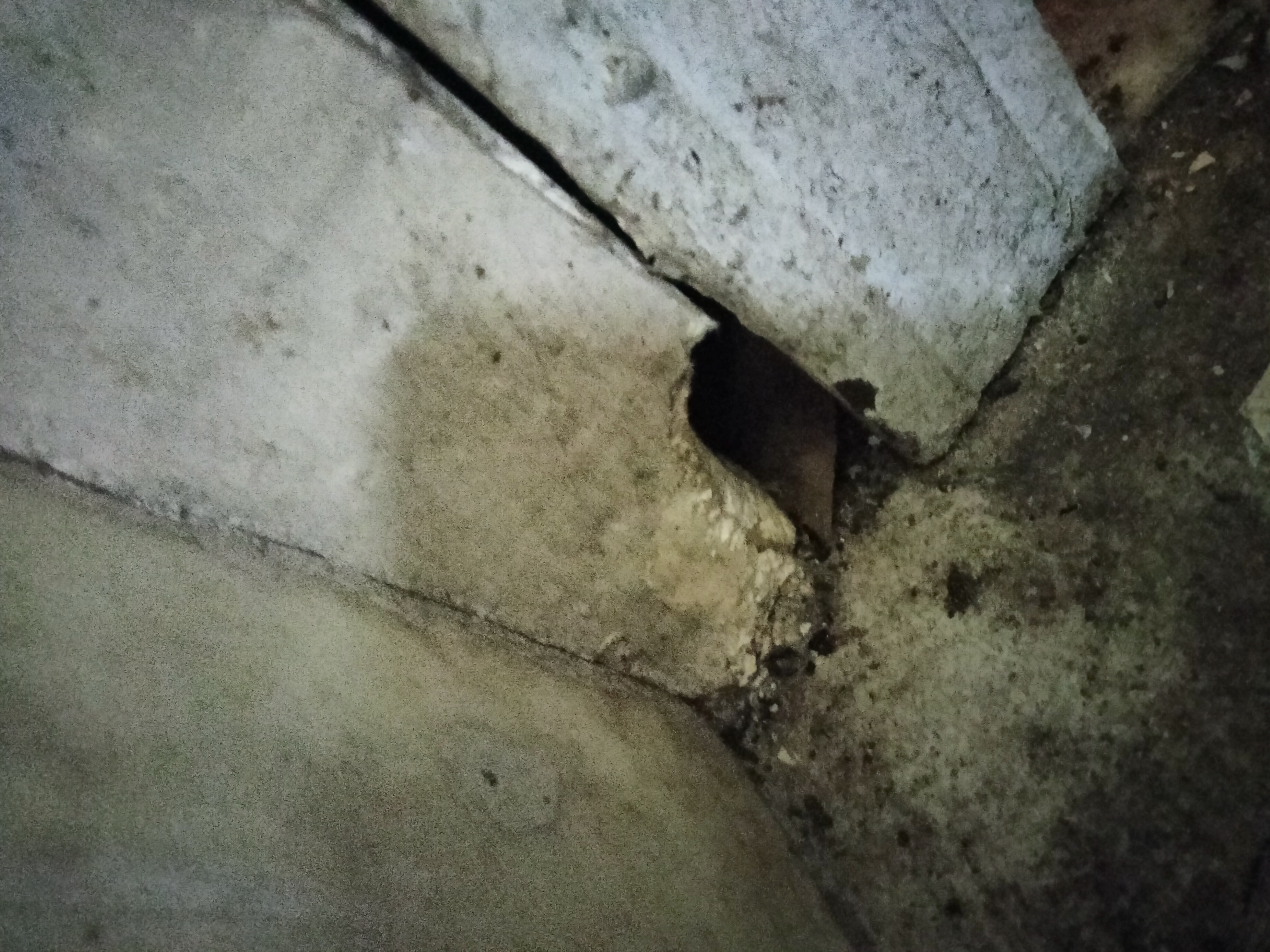 User-uploaded image 5