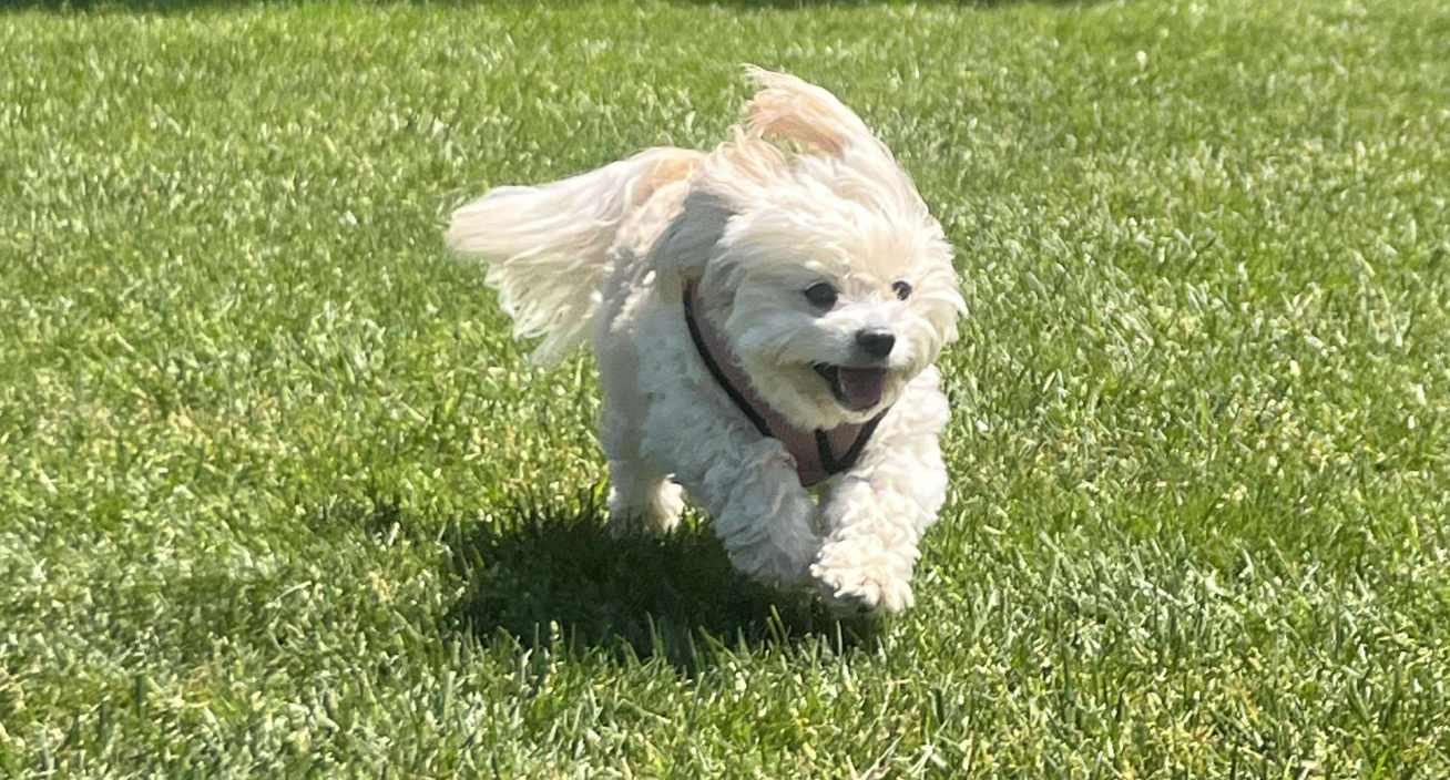 User-uploaded image 1