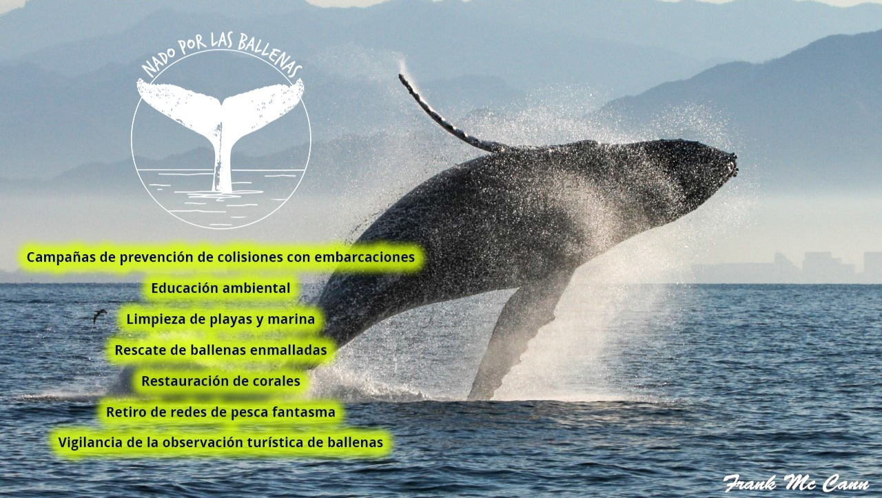 Nado por las Ballenas 2025