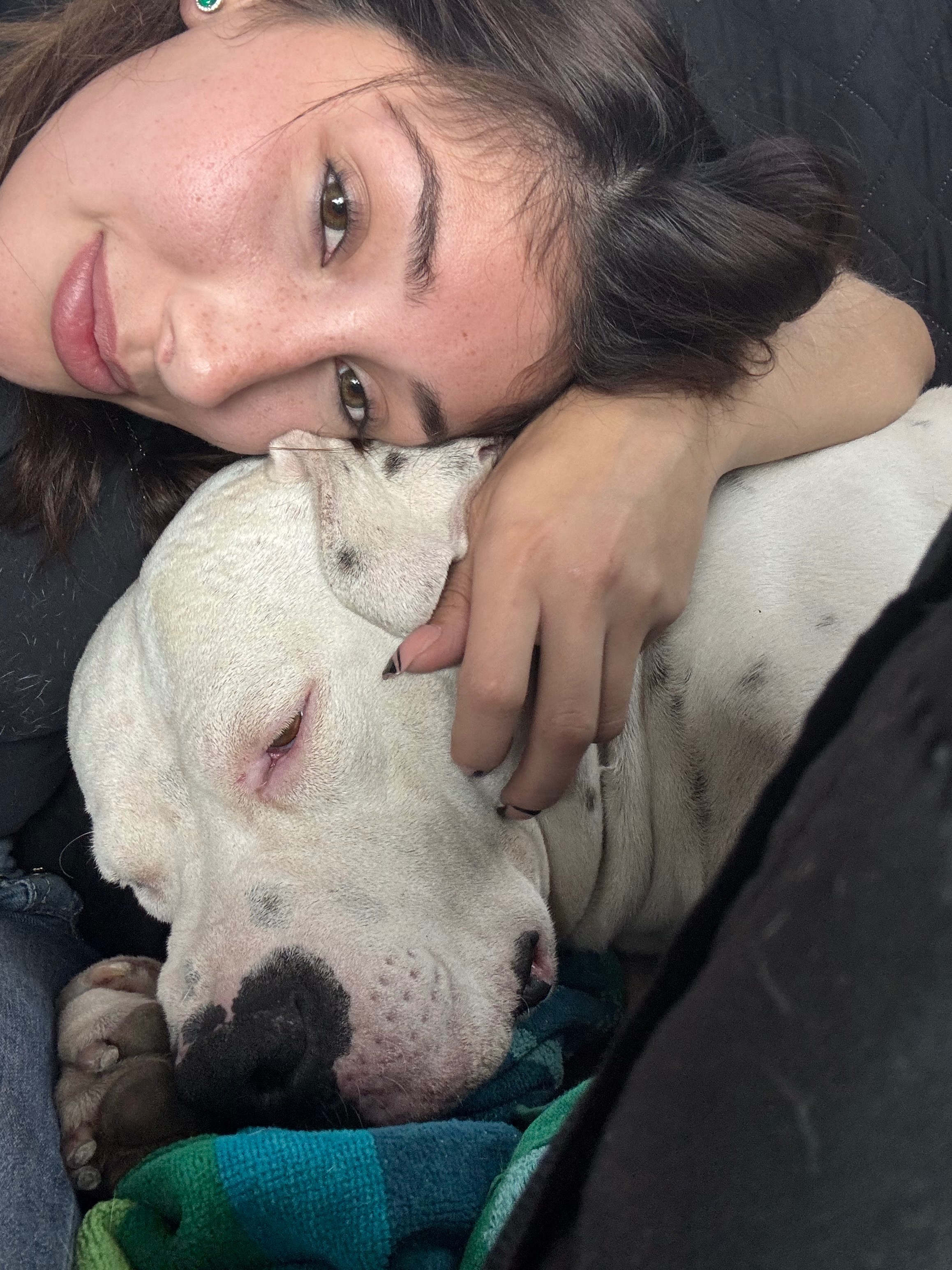 Flint’s Brave Chance at Life Again❤️ campaign photo, 5 of 8