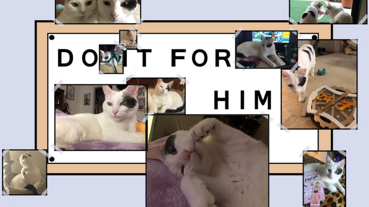 Support Nico's Life-Saving Surgery Costs campaign photo, 2 of 5