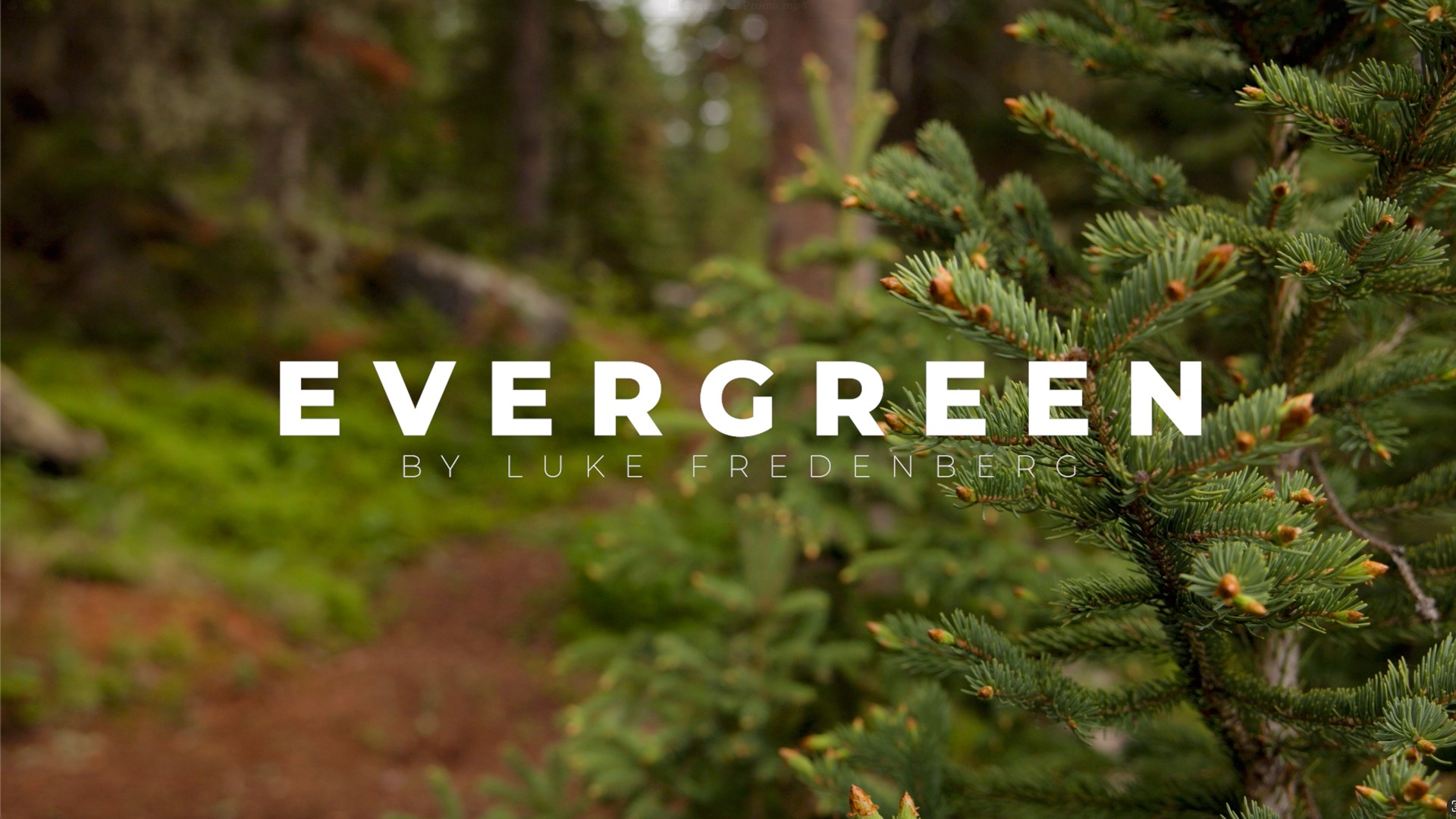 EVERGREEN: A Teenage Boy's Journey to Stand with Israel campaign photo, 6 of 7