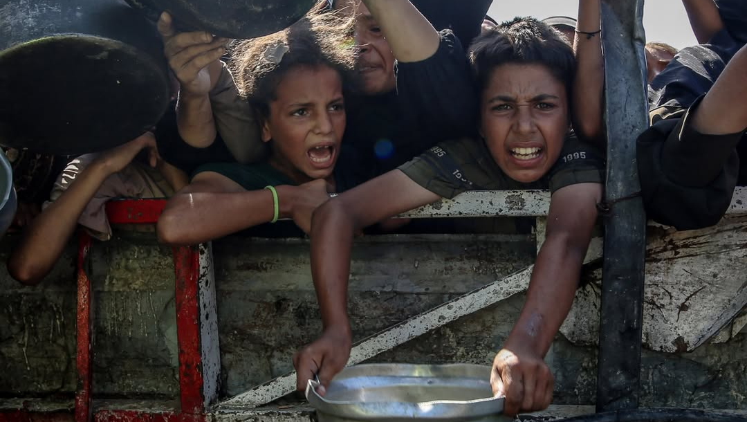 Support Palestinian Writers, Hungry Children & Stray Animals photo