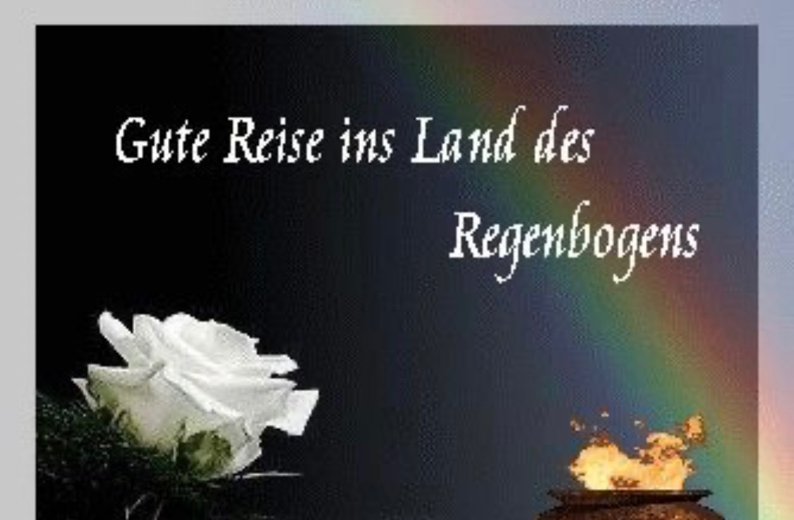 Jontes letzte Reise campaign photo, 6 of 7