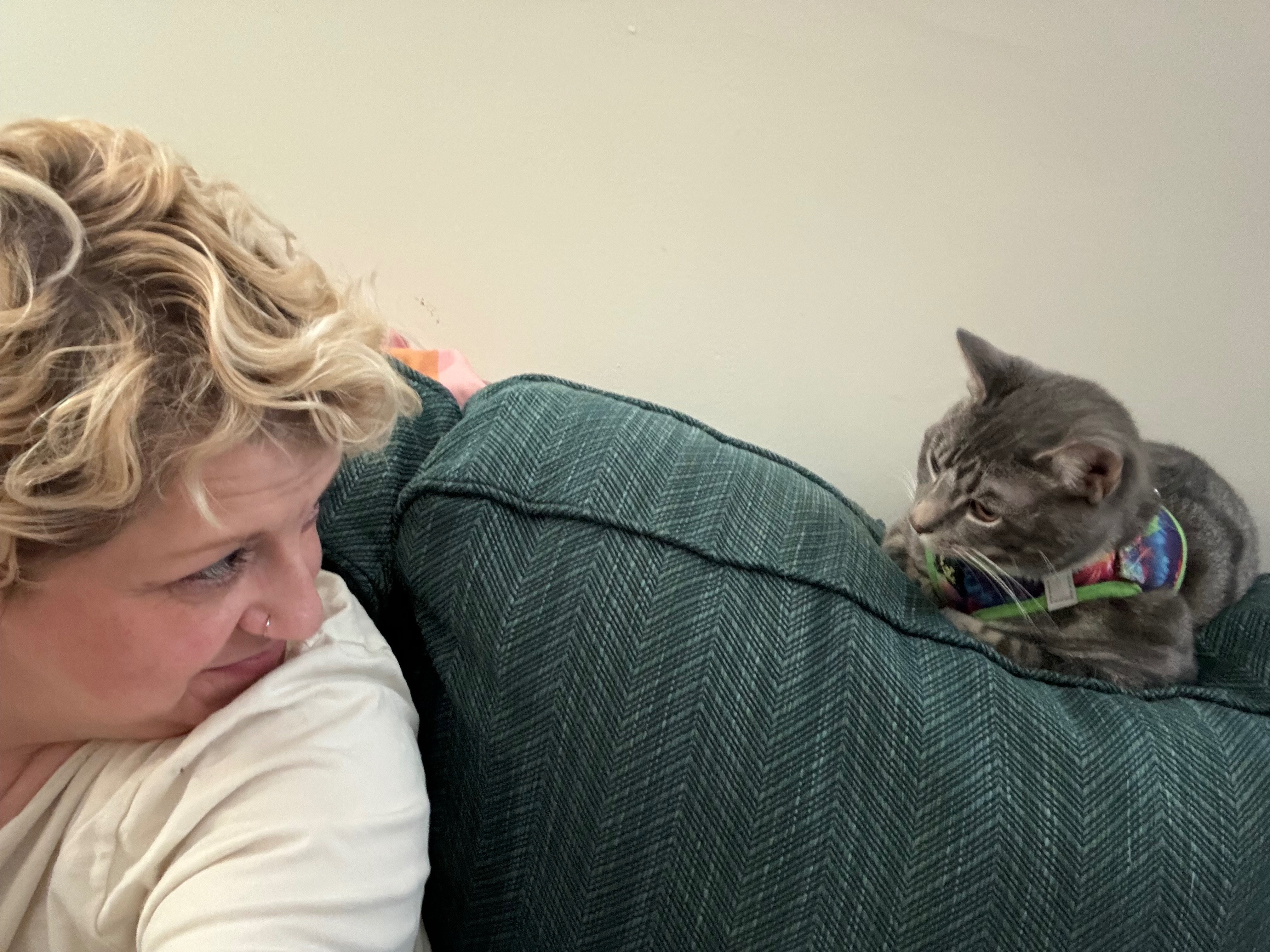 User-uploaded image 1