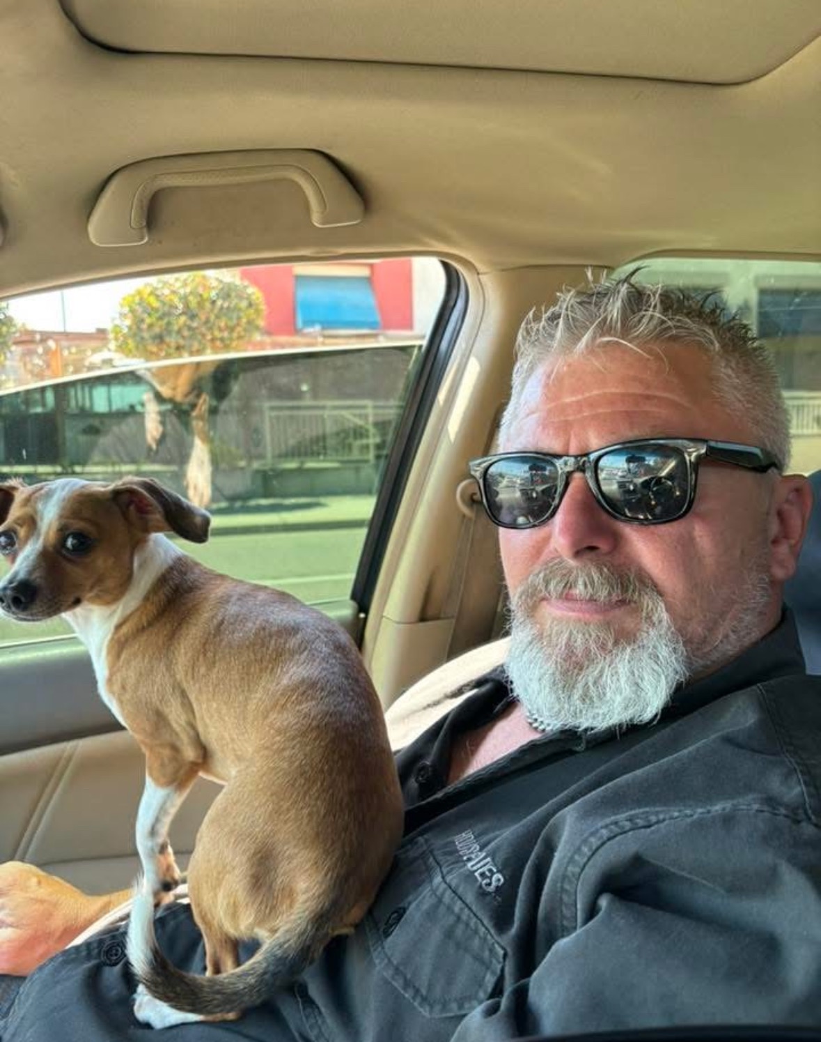 User-uploaded image 1