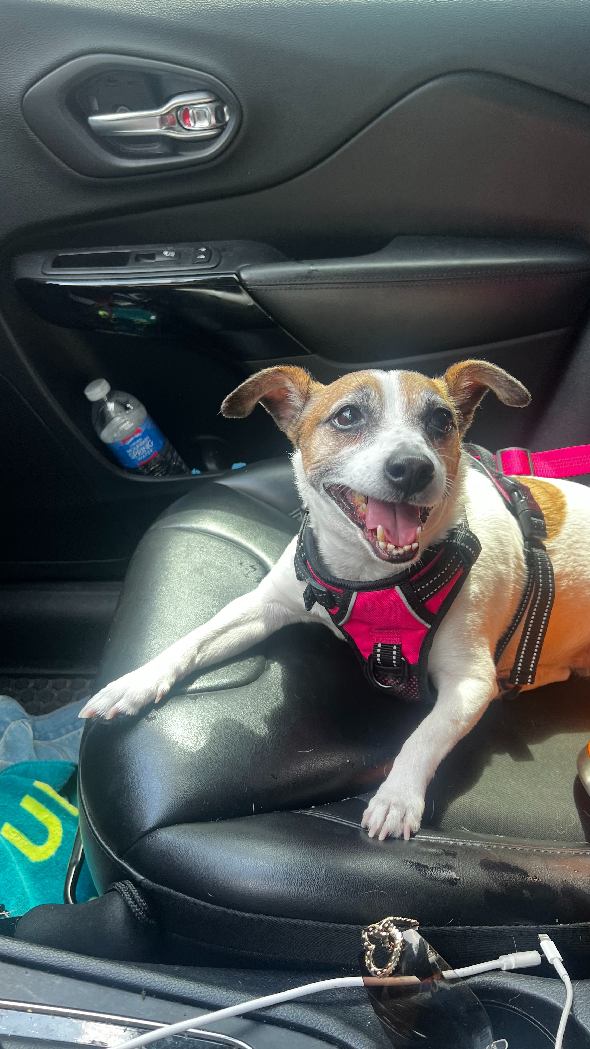Help Missy Beat Cancer campaign photo, 2 of 4