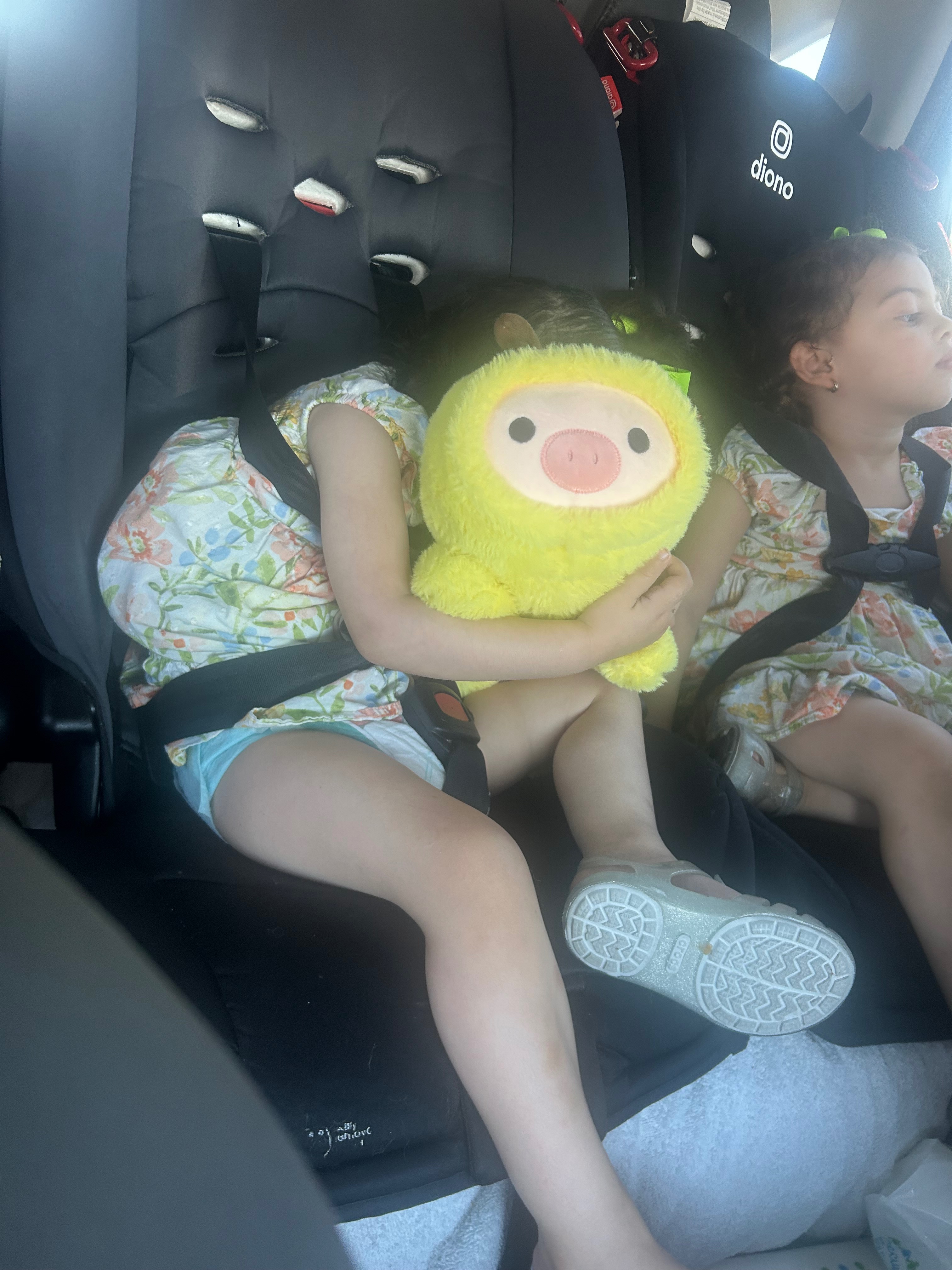 User-uploaded image 1