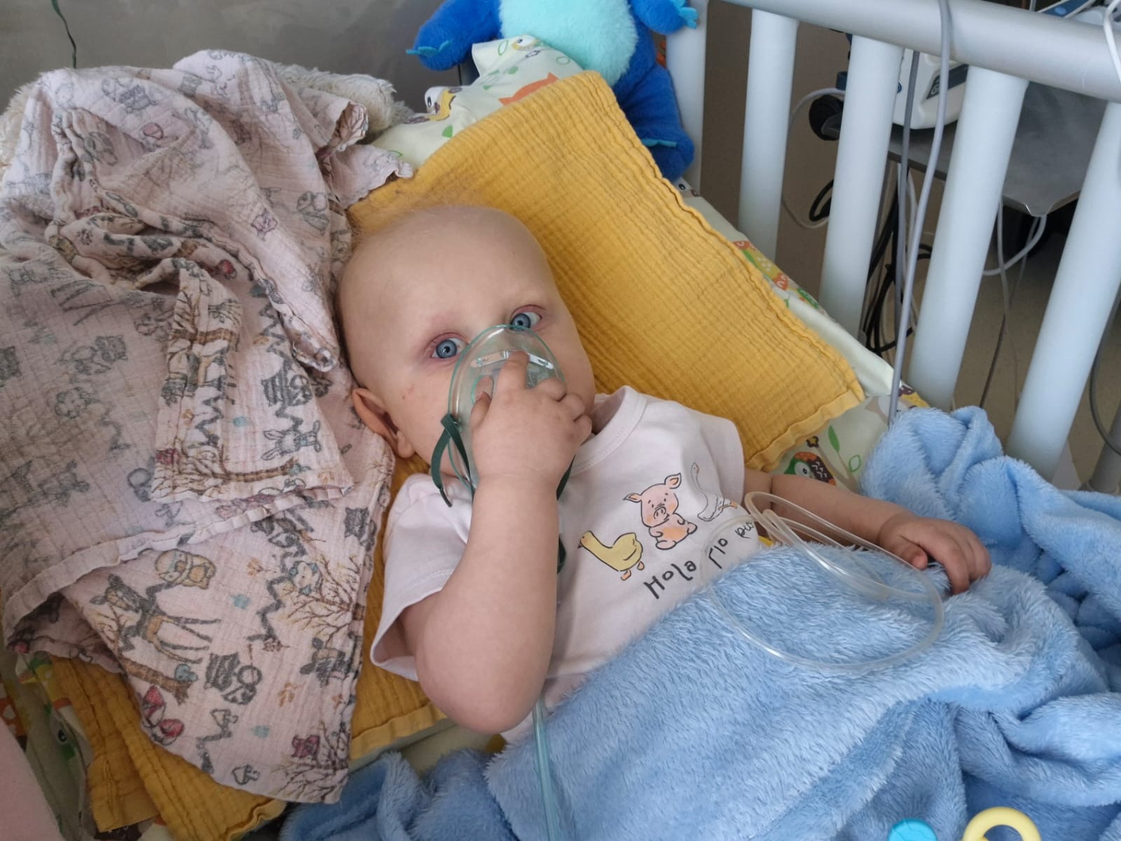 User-uploaded image 1