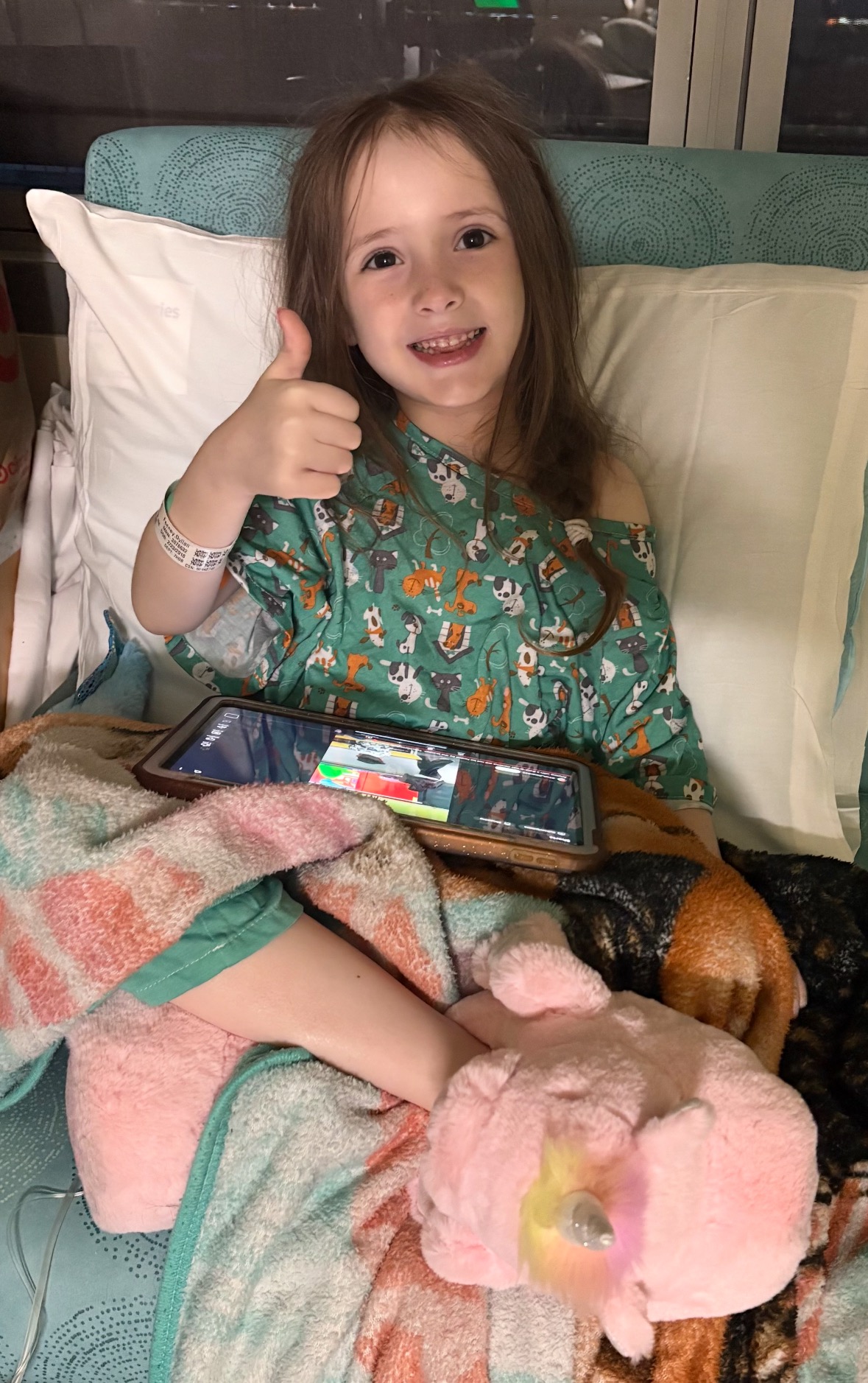 Fundraiser by Josi Crimmins : Dyllan's Journey: From Tragedy to Hope, image size:1179x1877