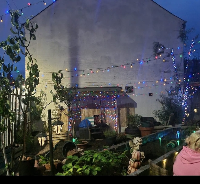 User-uploaded image 1