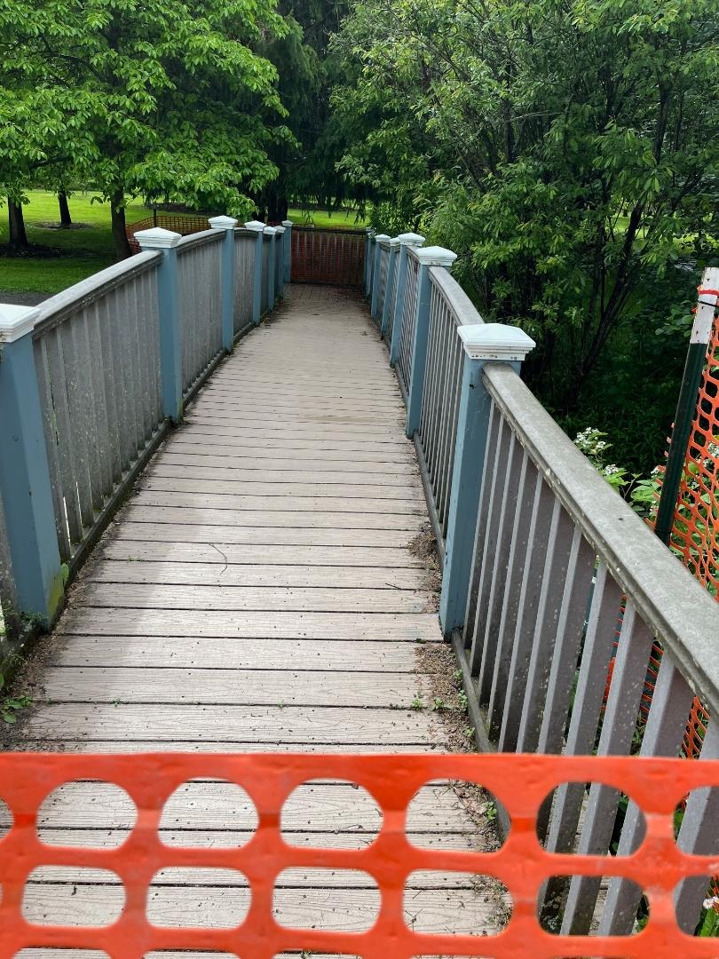 User-uploaded image 1