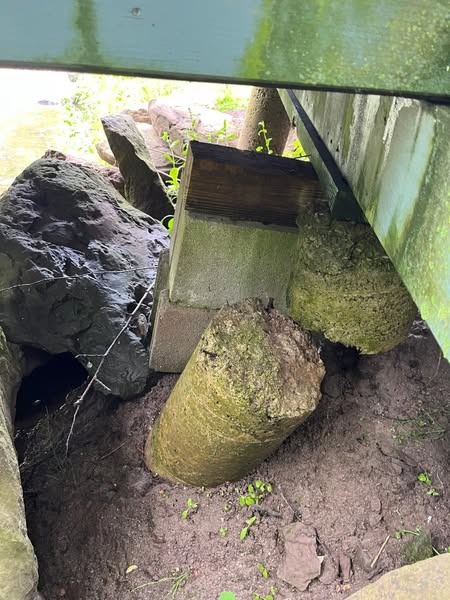 User-uploaded image 4